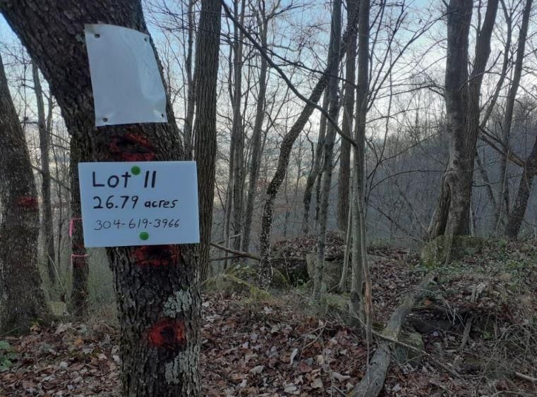 26.79 acres in Nicholas County, West Virginia