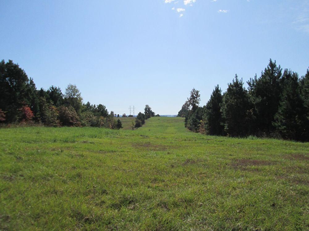 197.16 acres in Reklaw, TX,