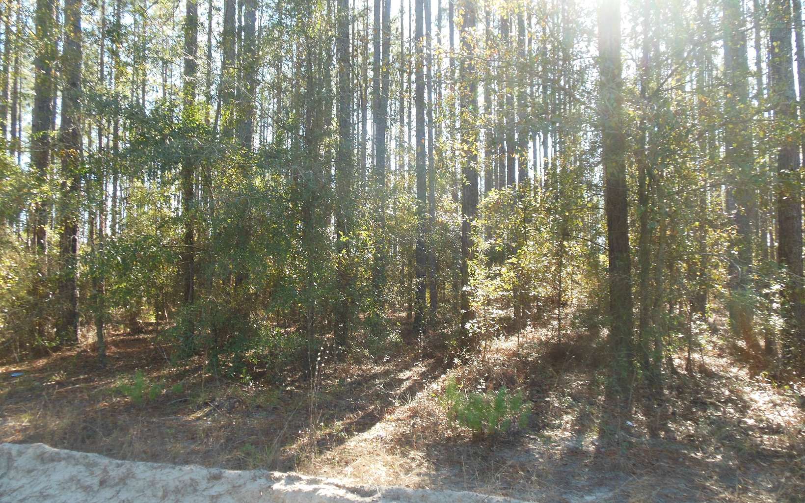4 acres in Hamilton County, Florida
