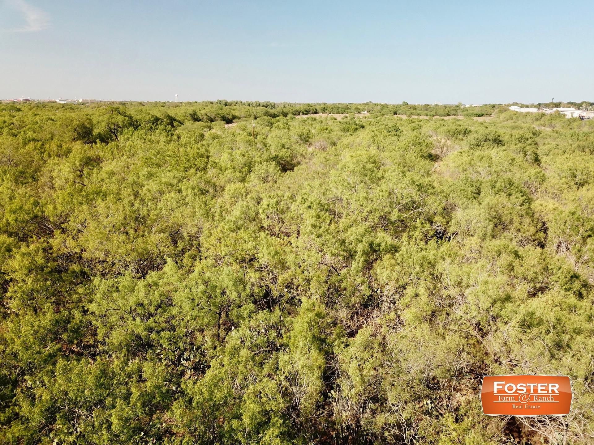 39 acres in Frio County, Texas