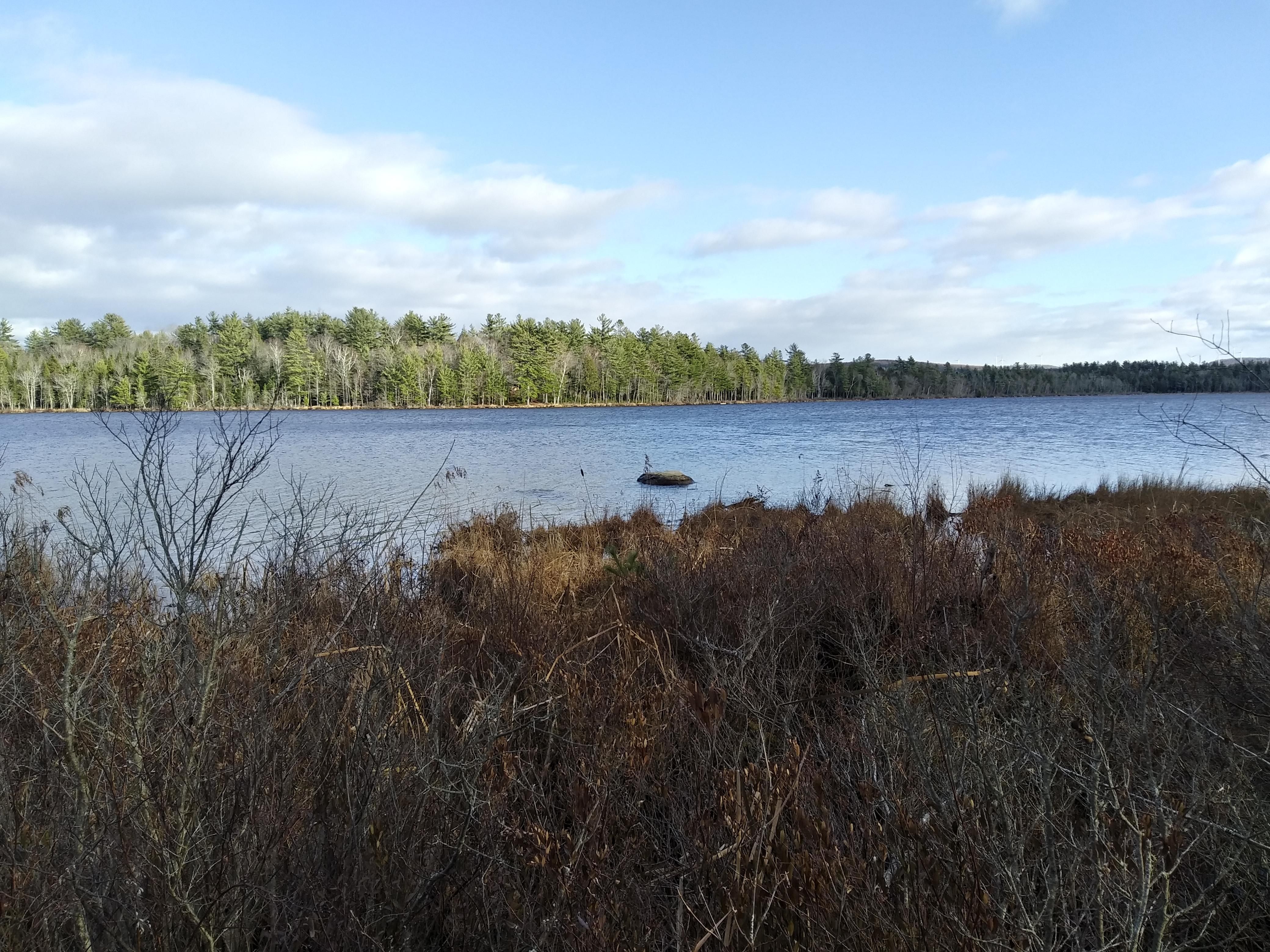 7 acres in Lincoln, ME, 04457