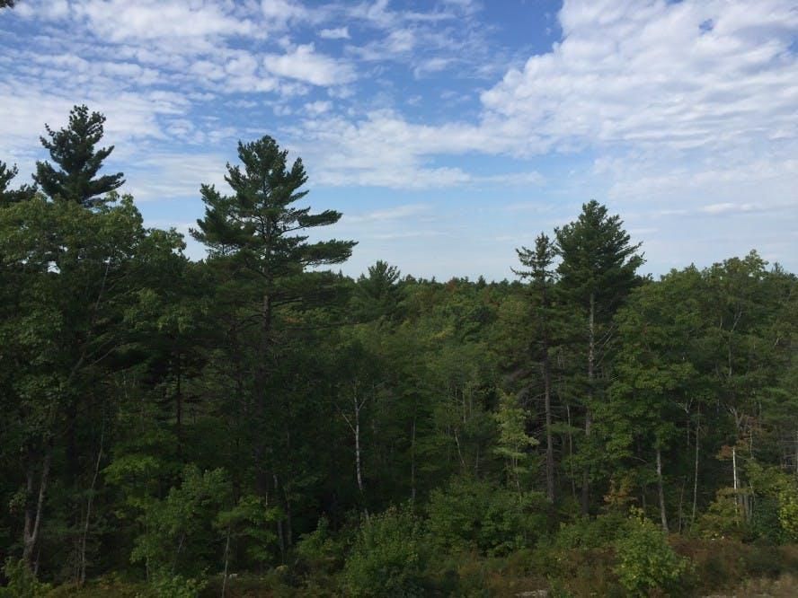 193 acres in Sagadahoc County, Maine