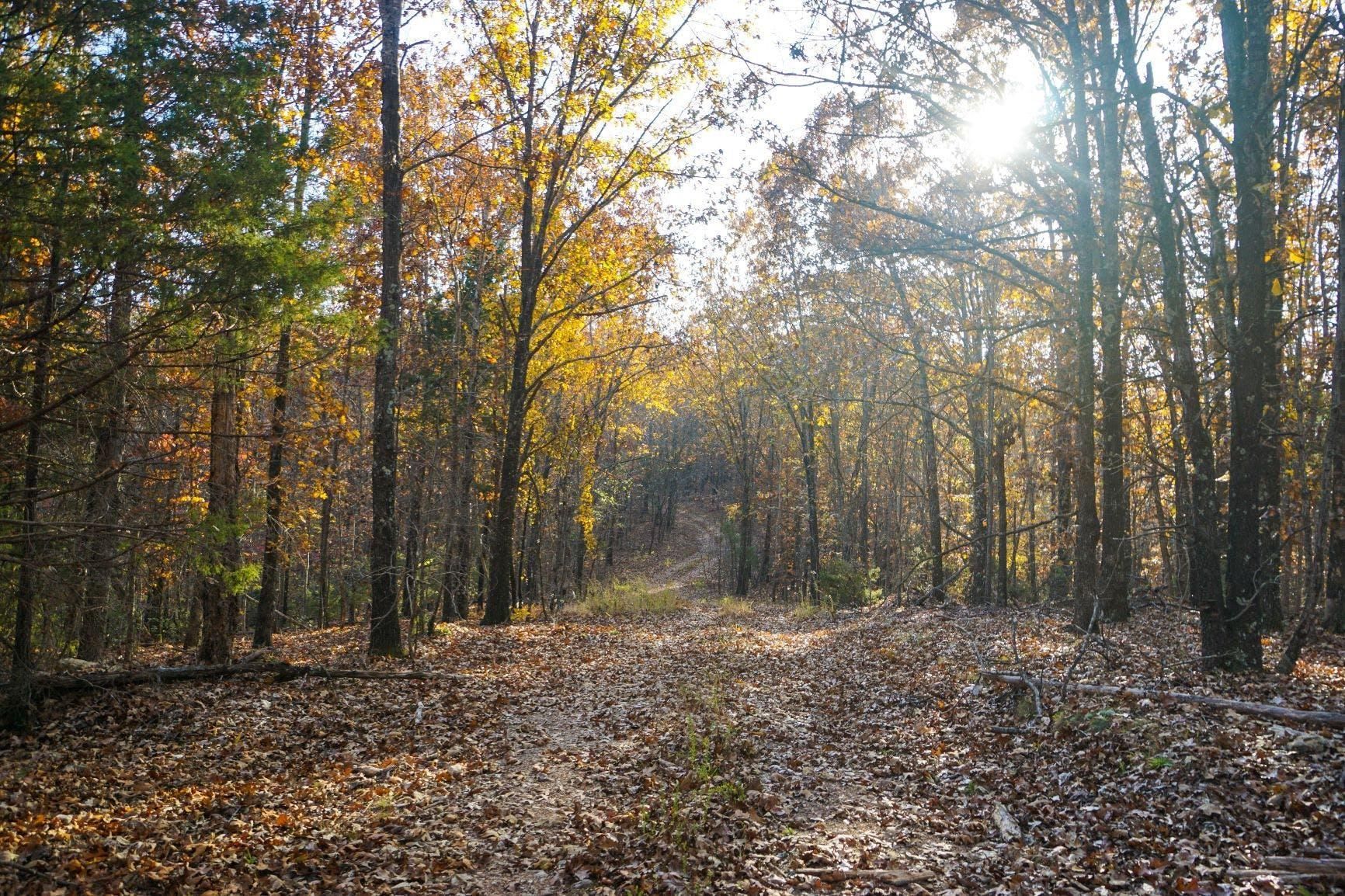 222 acres in Stone County, Arkansas