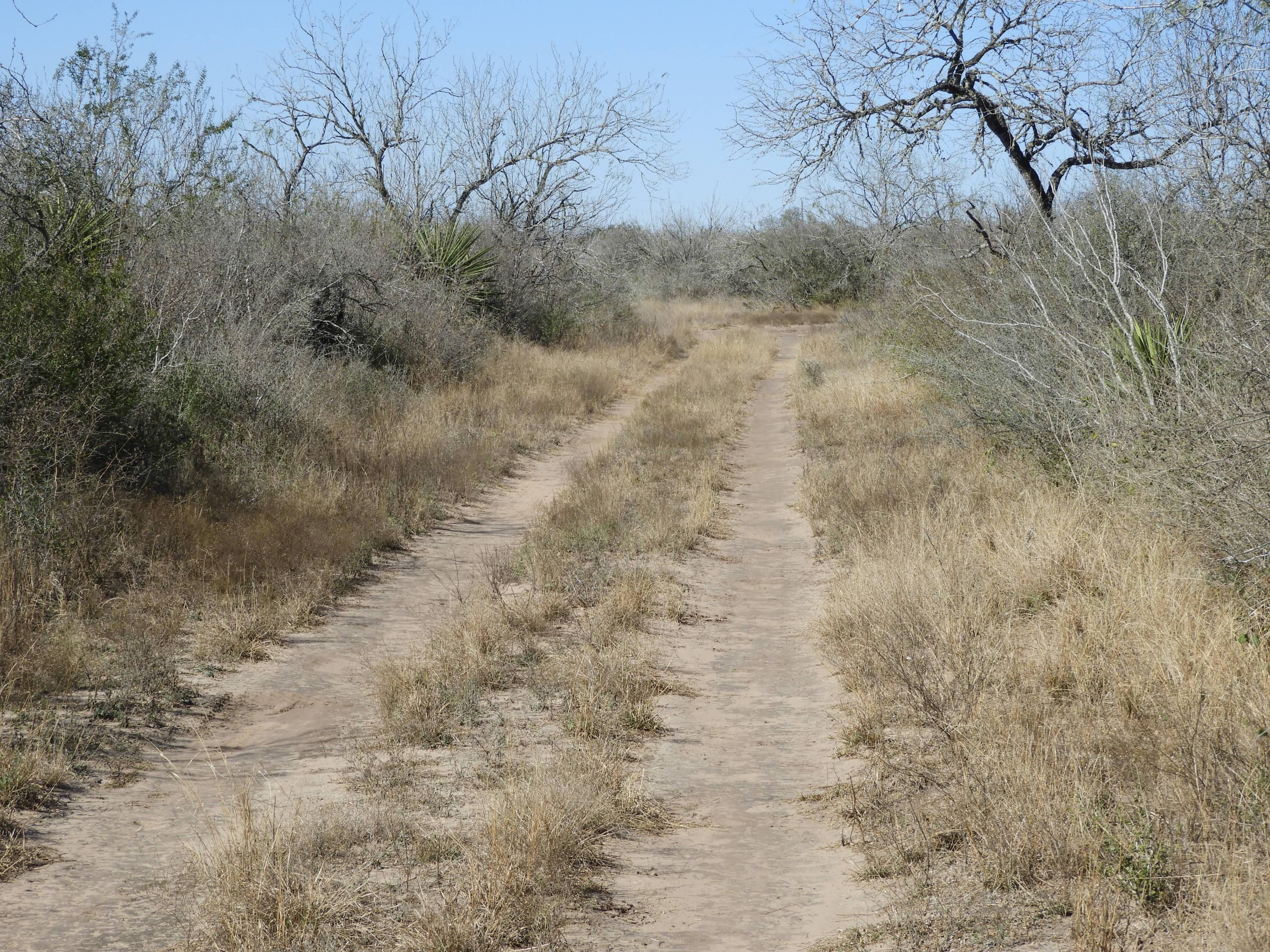 292 acres in Duval County, Texas