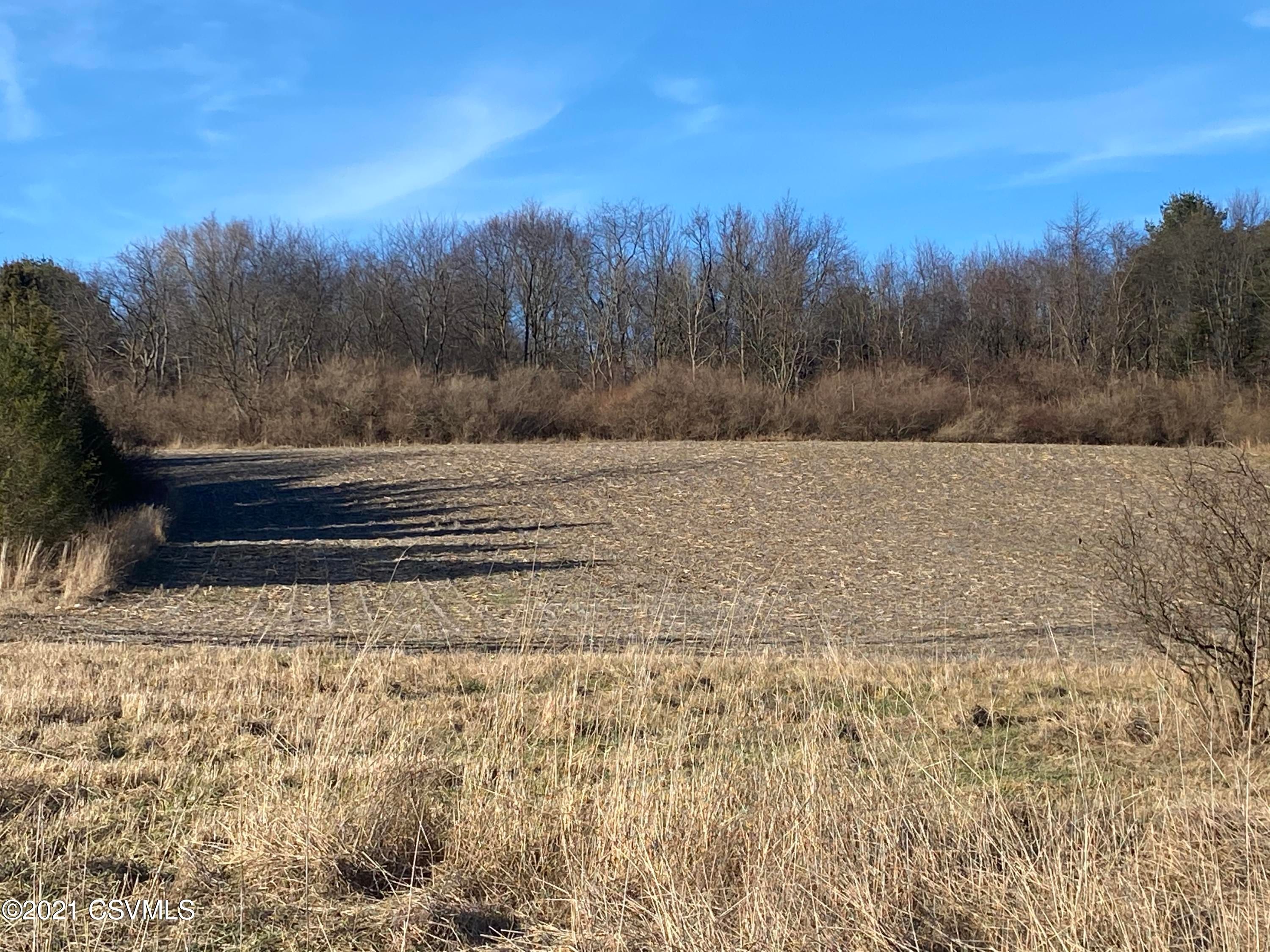 4 acres in Columbia County, Pennsylvania