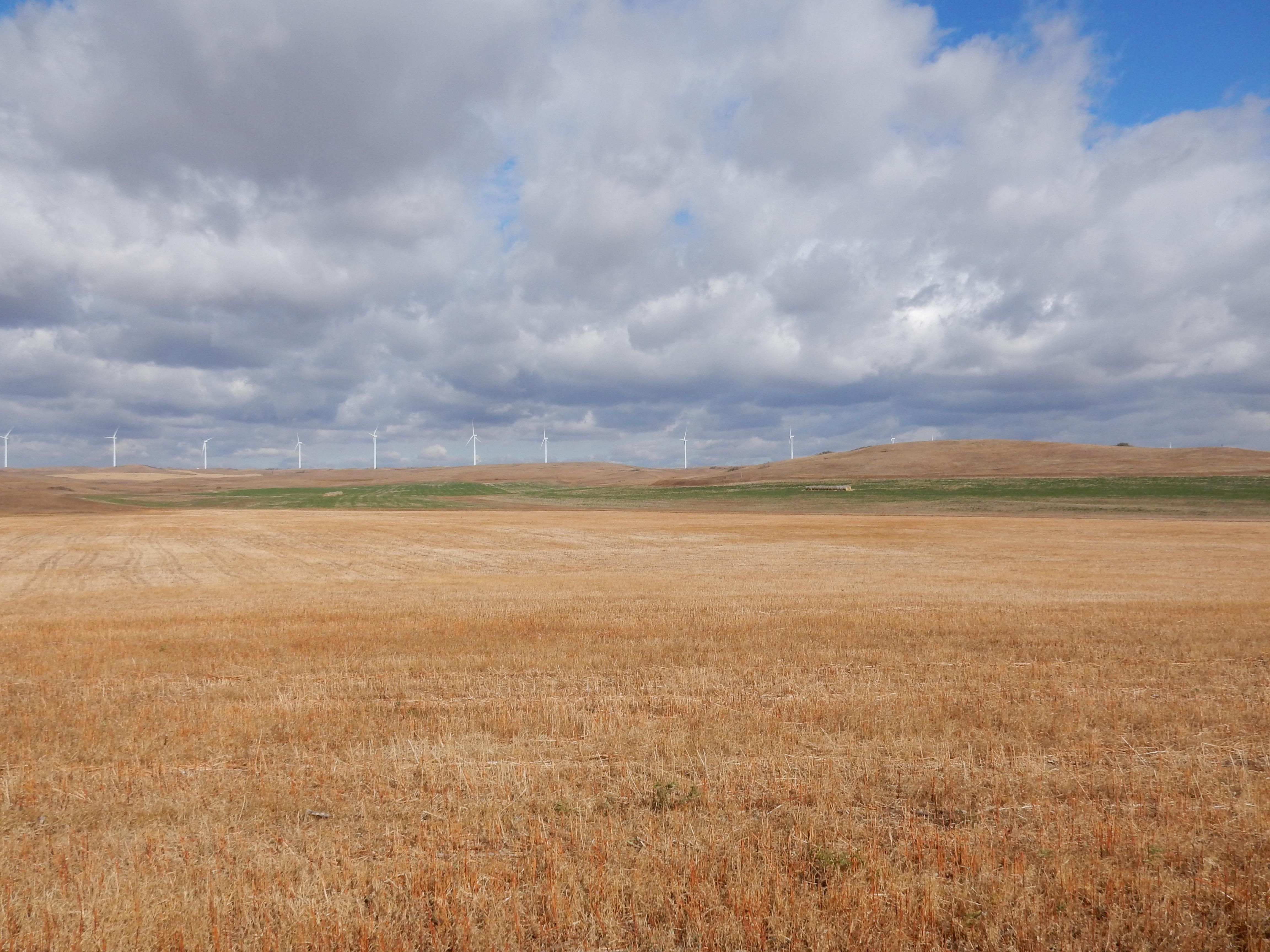 1,036.3 acres in Oliver County, North Dakota