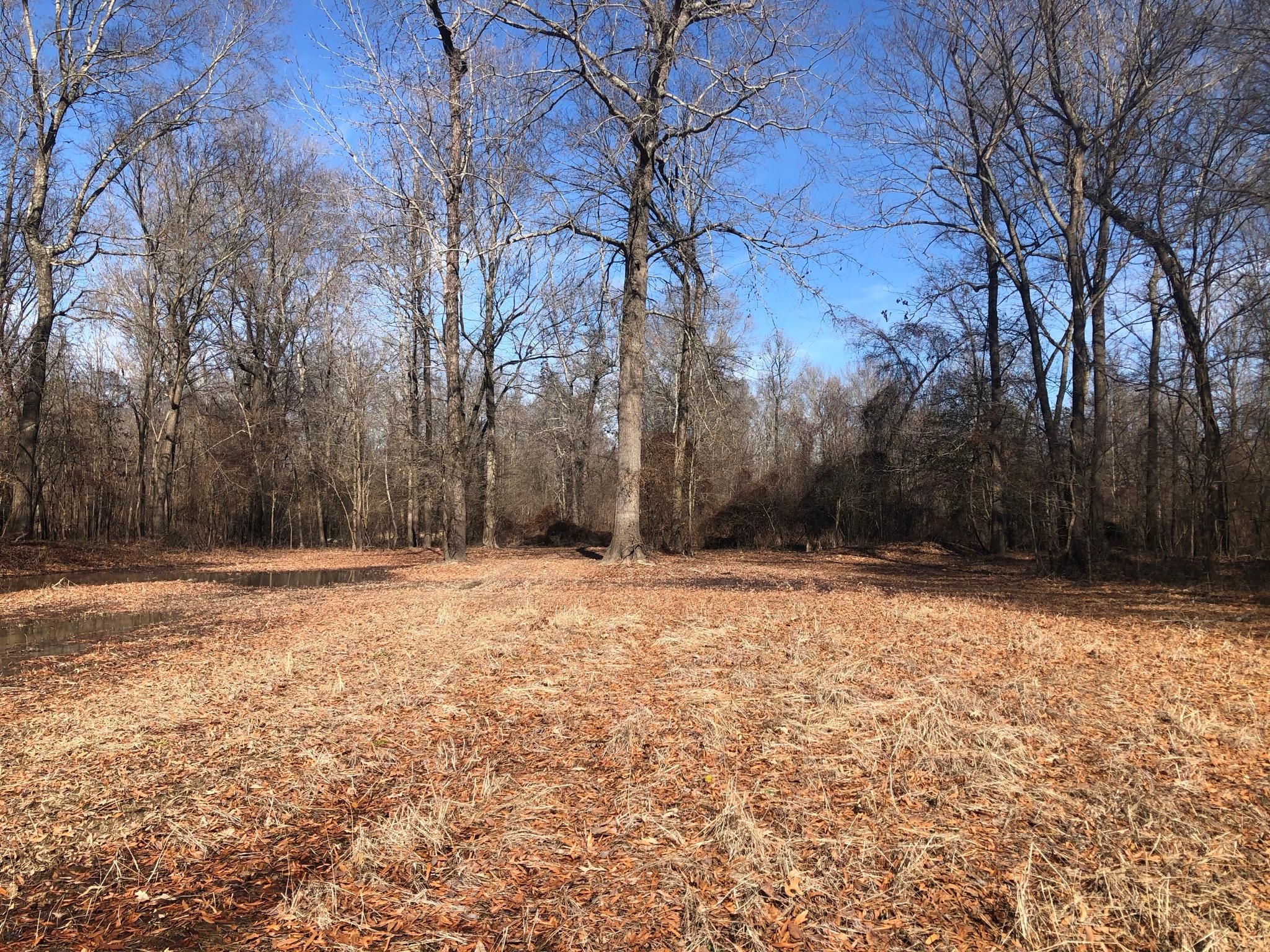 242 acres in Sharkey, MS, 38765