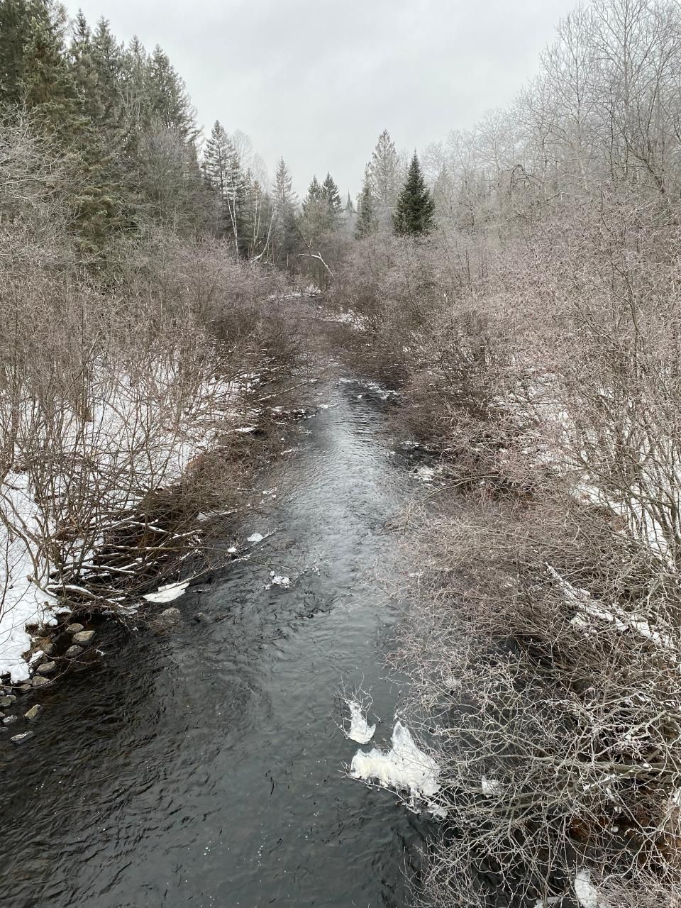 7 acres in Langlade County, Wisconsin