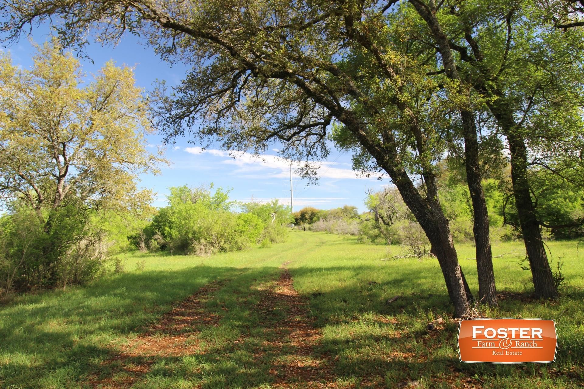 220 acres in Medina County, Texas