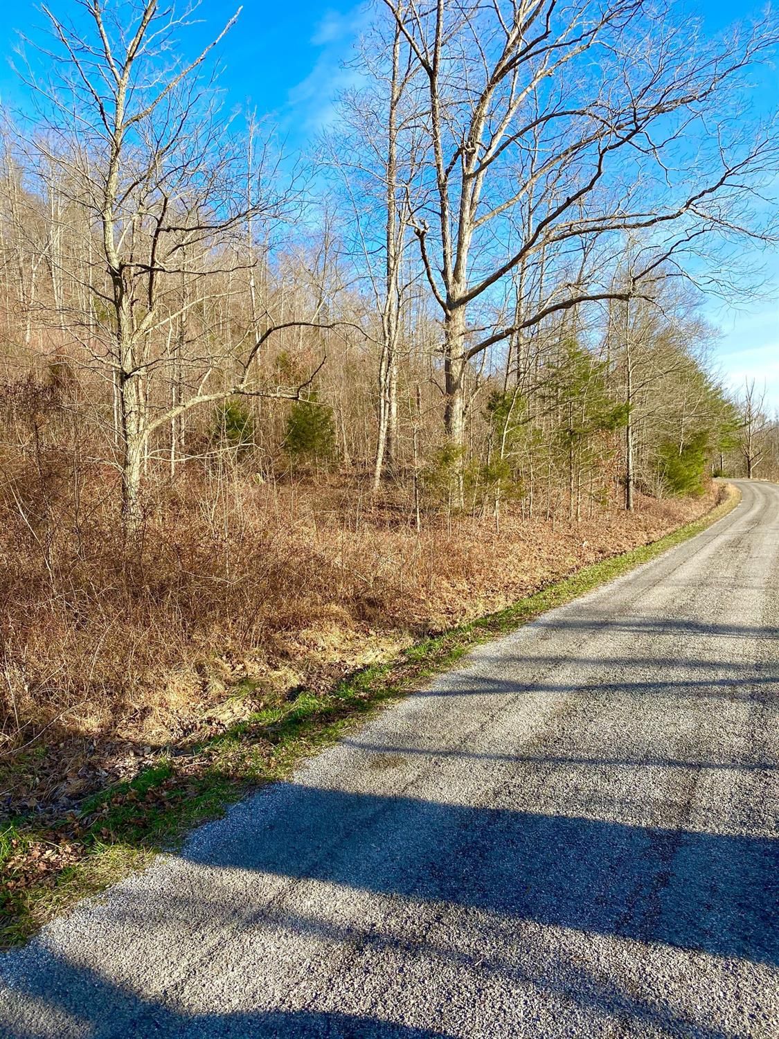 29 acres in Casey County, Kentucky