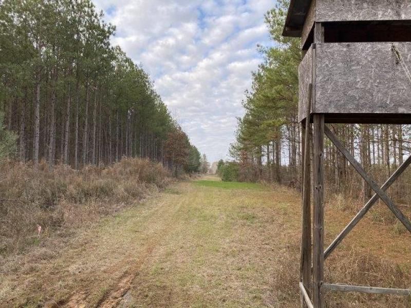 578 acres in Twiggs County,