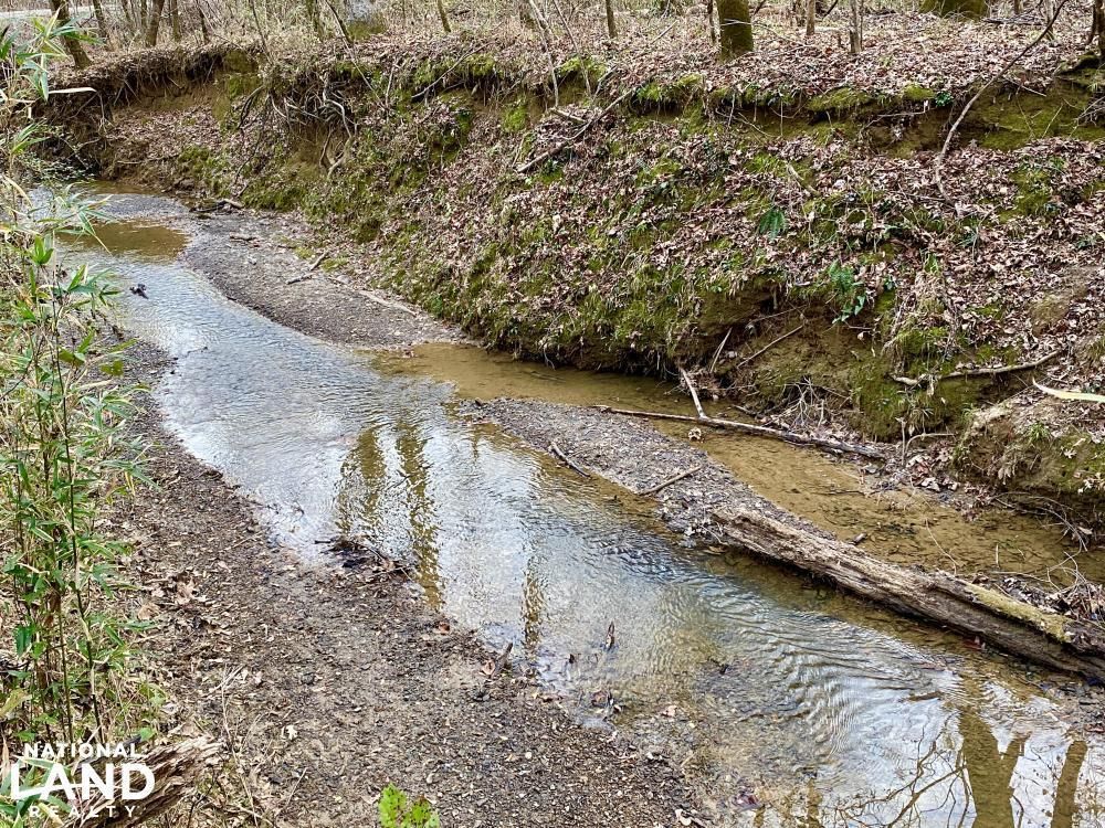 109.27 acres in Wilcox County, Alabama