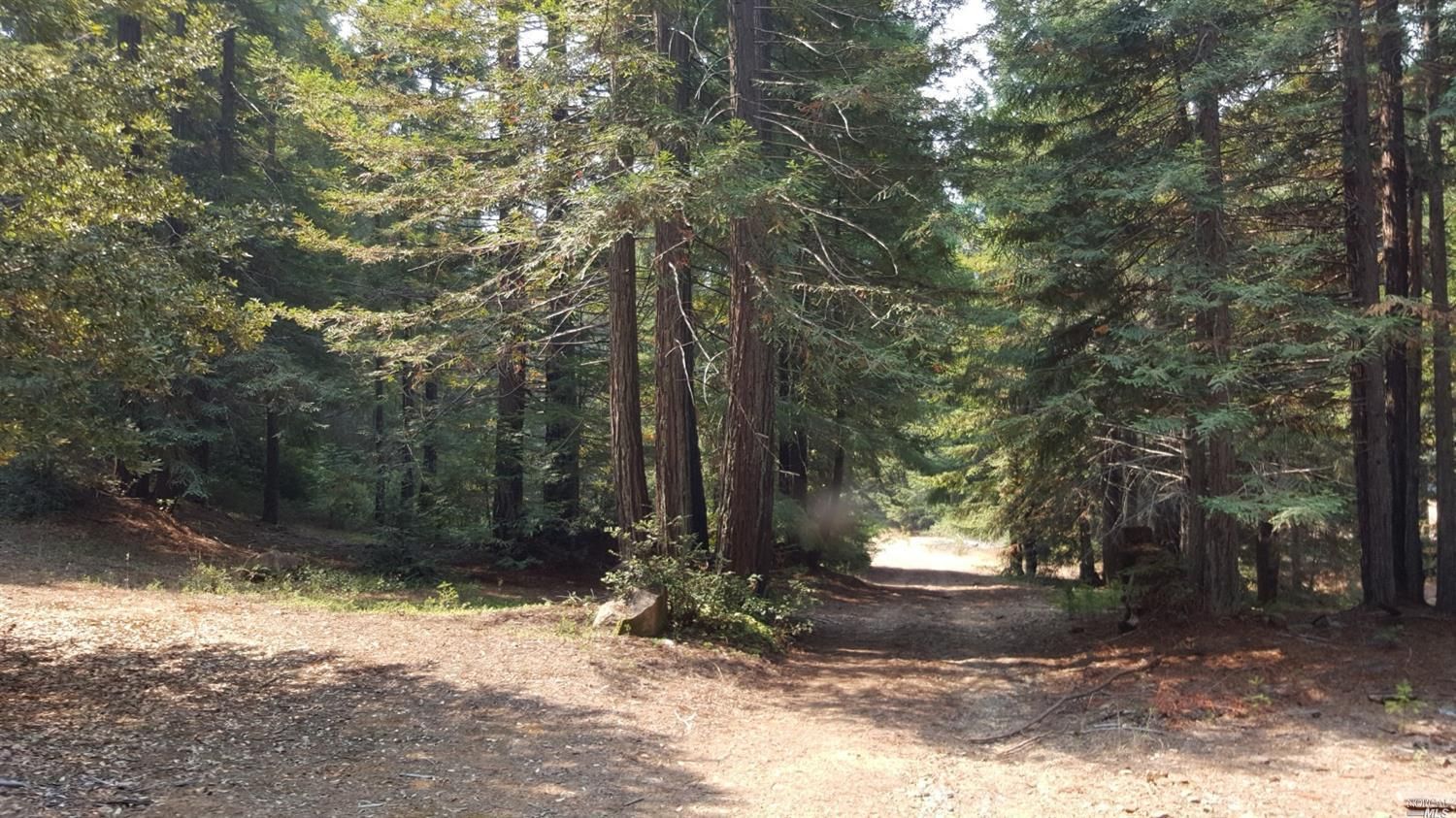 670 acres in Mendocino County, California