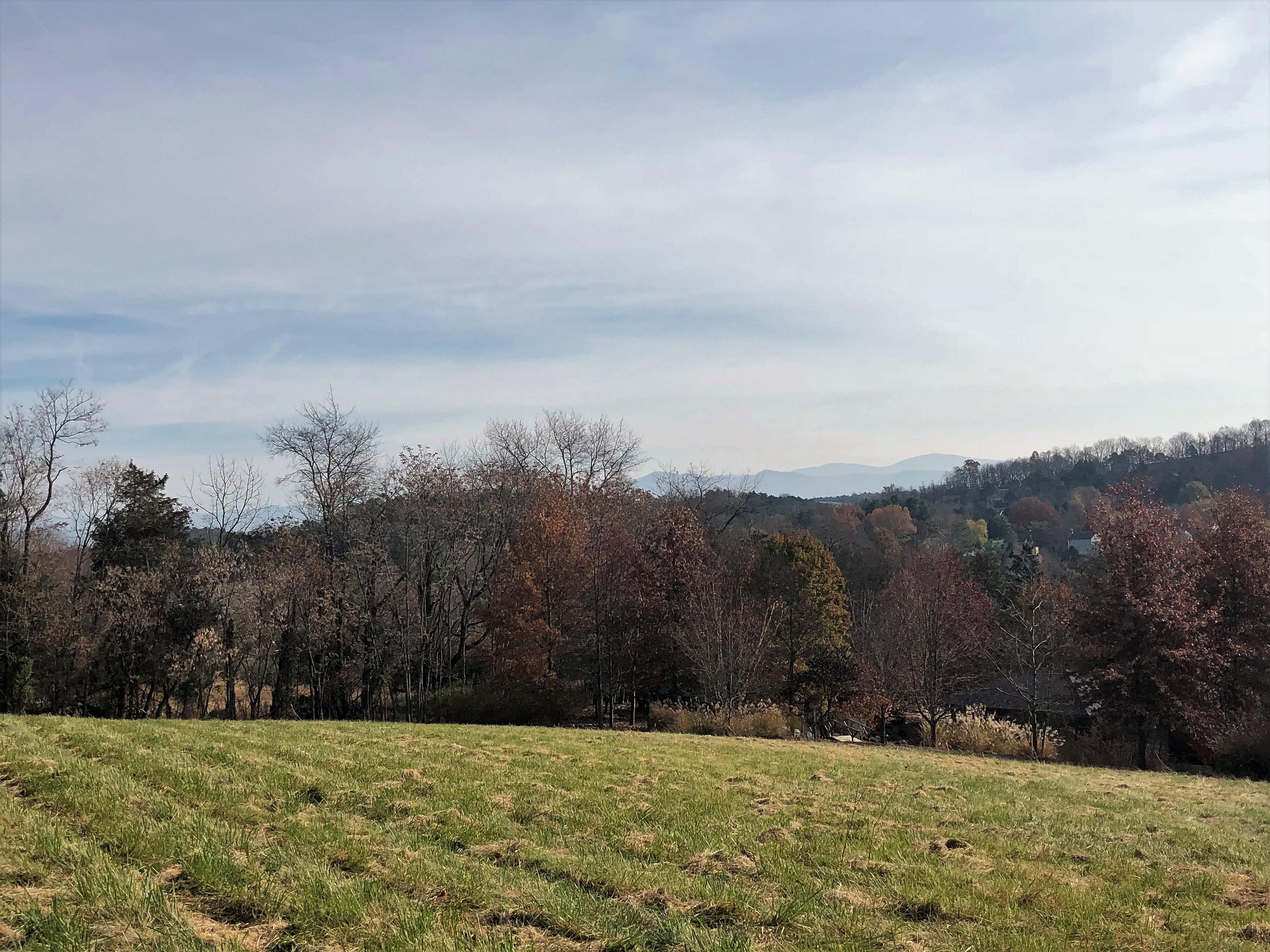 3 acres in Rockbridge County, Virginia