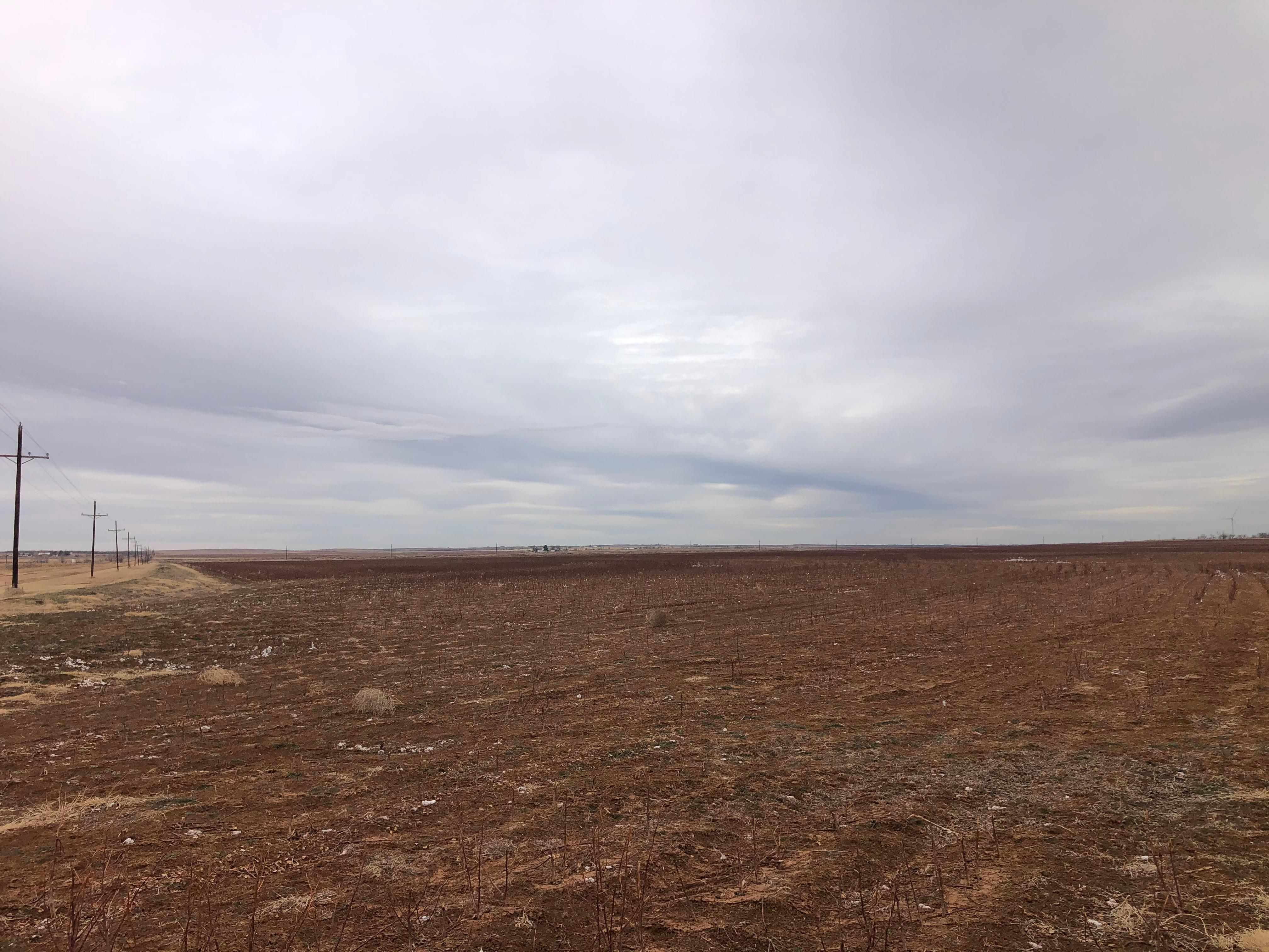 160 acres in Mitchell County, Texas