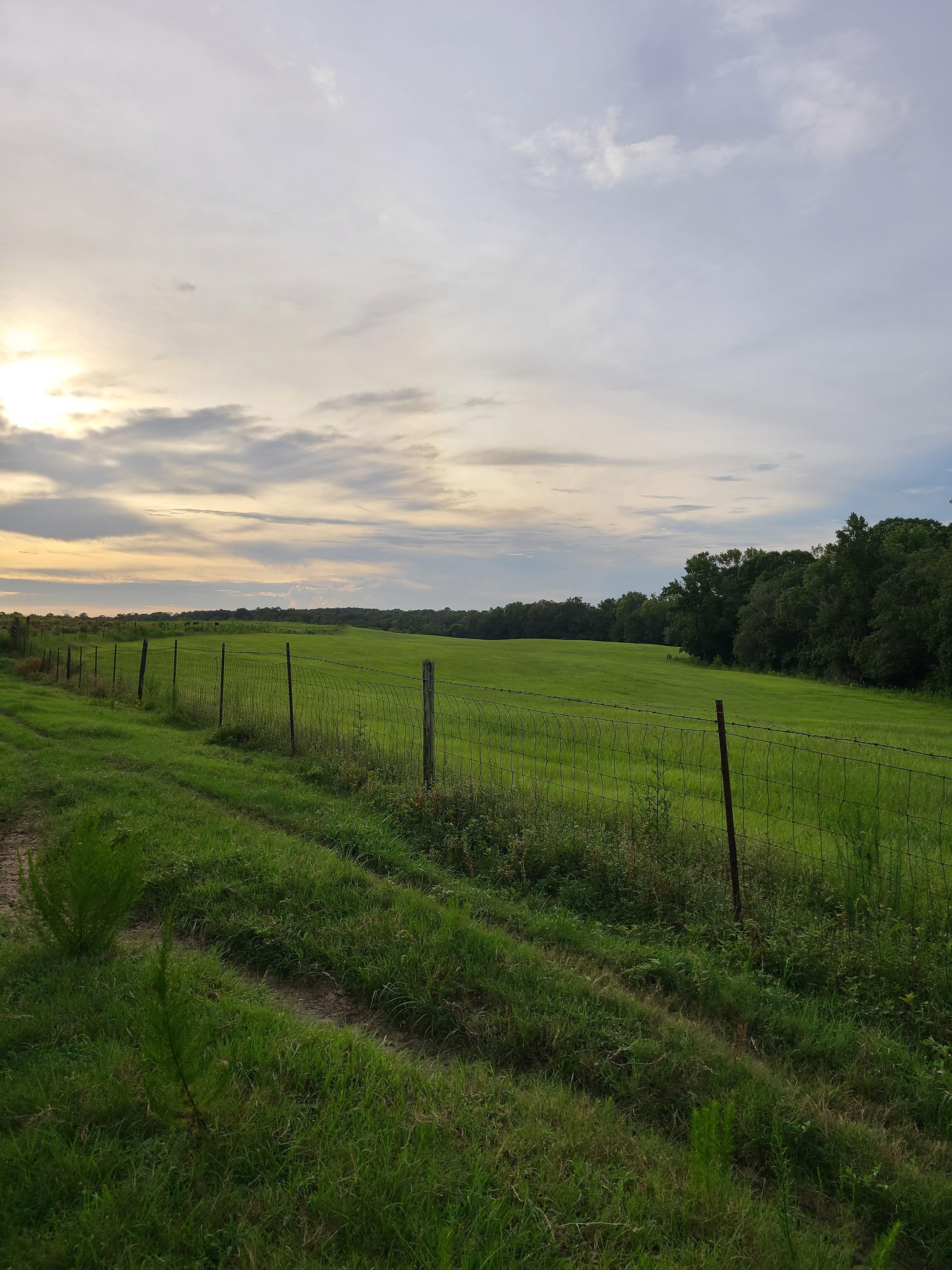 112 acres in Covington County, Alabama