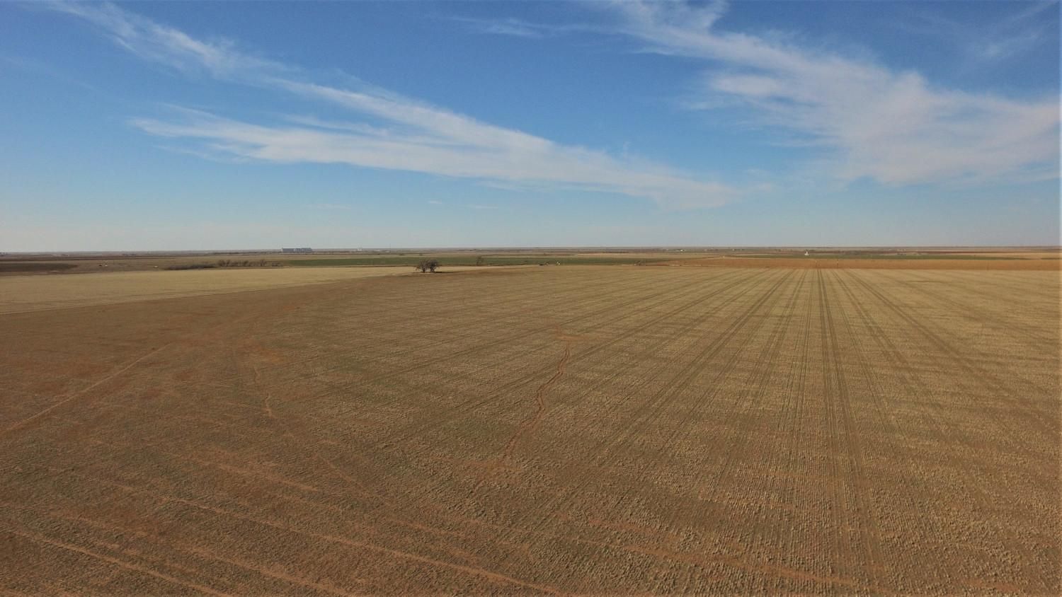 320 acres in Parmer County, Texas