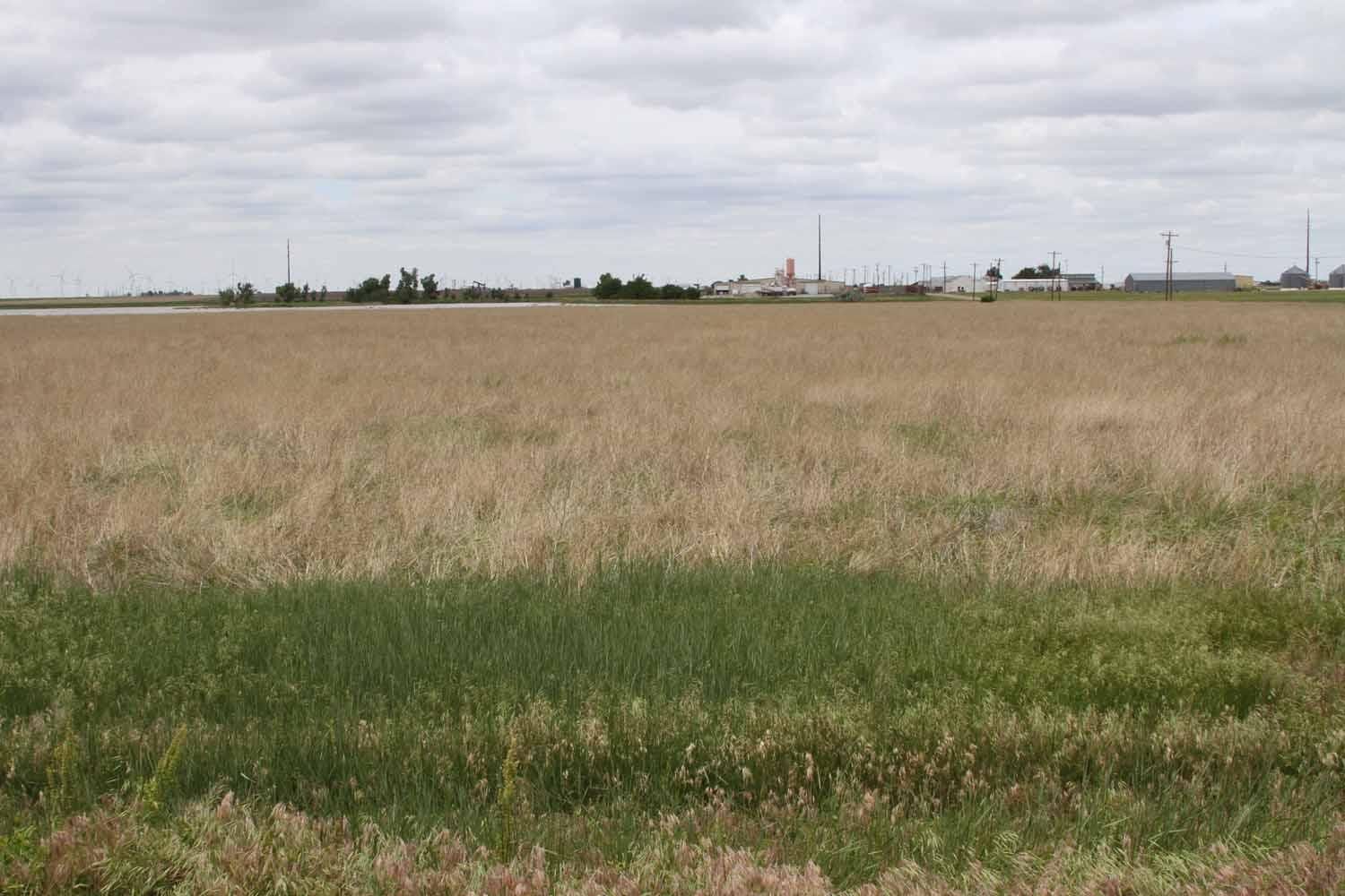 282 acres in County, Texas