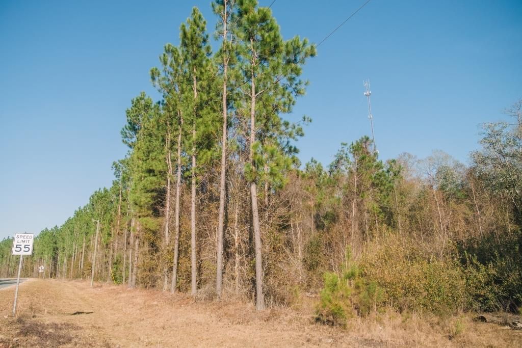 10 acres in Bulloch County,