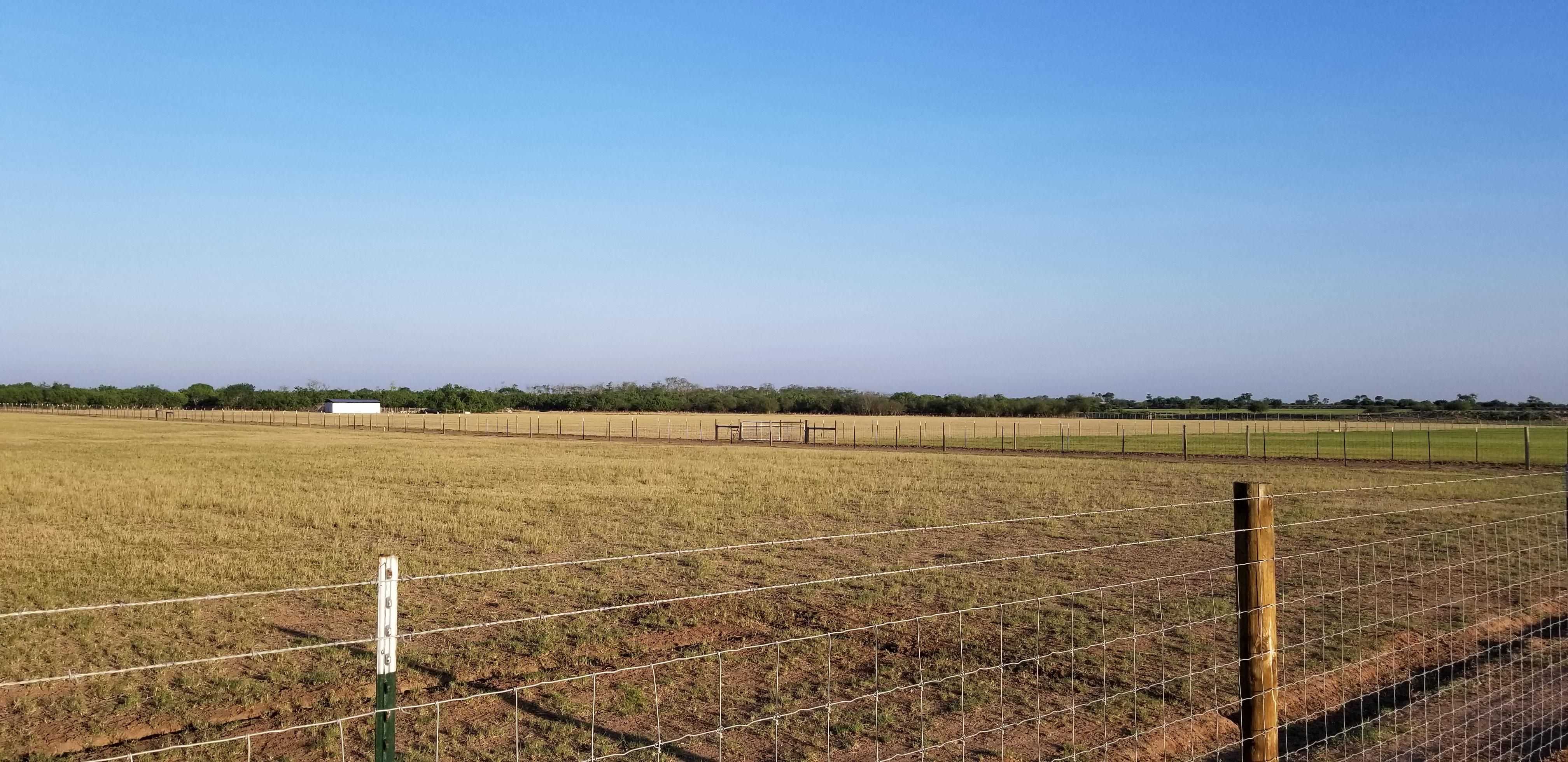 117 acres in Willacy County, Texas