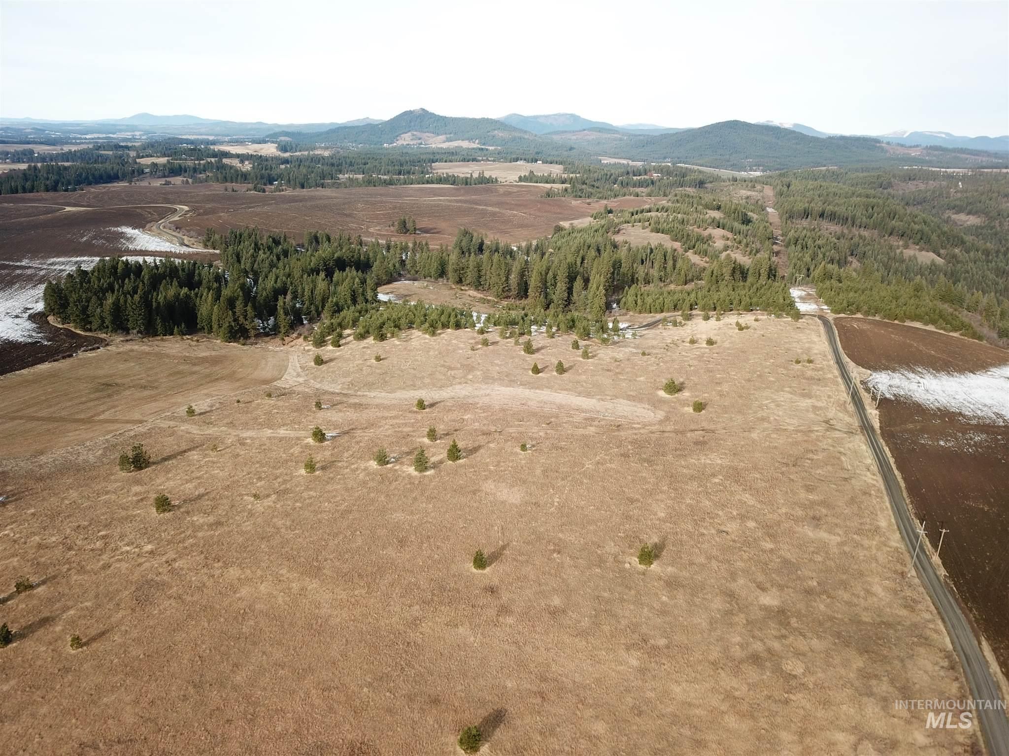 40 acres in Latah County, Idaho