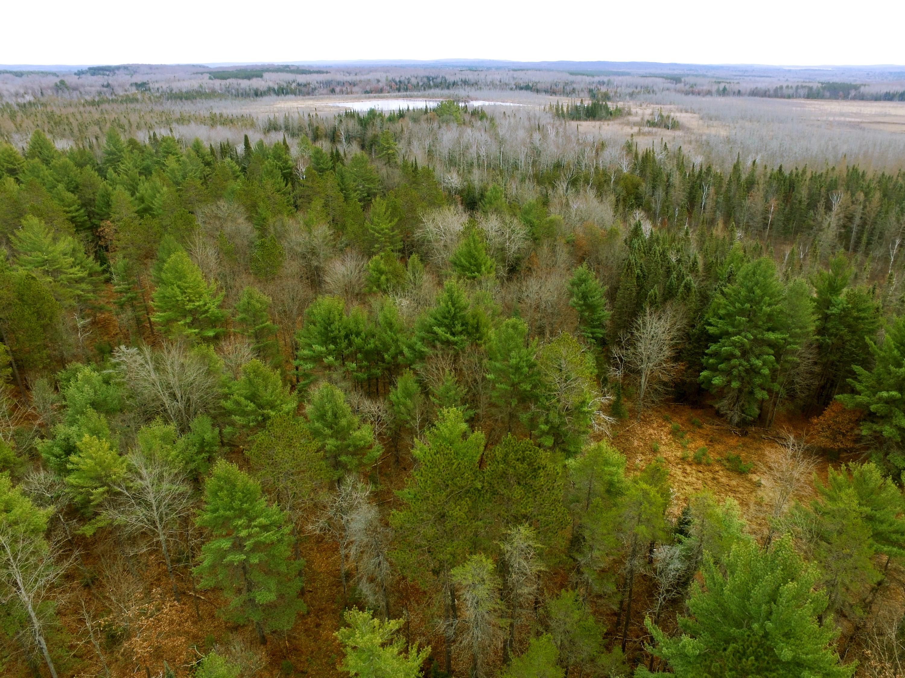 10 acres in Wexford County, Michigan