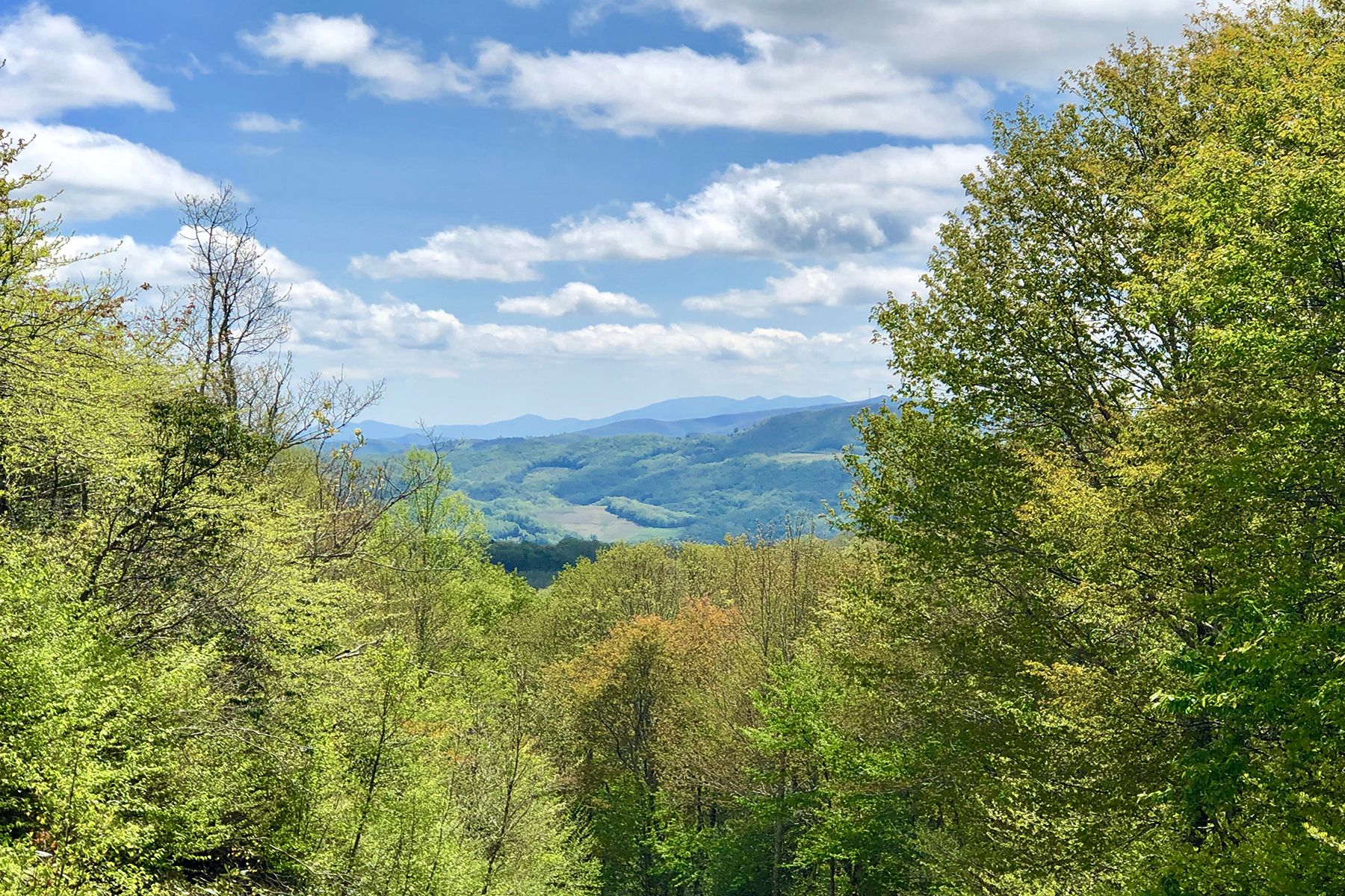 2.75 acres in Avery County, North Carolina