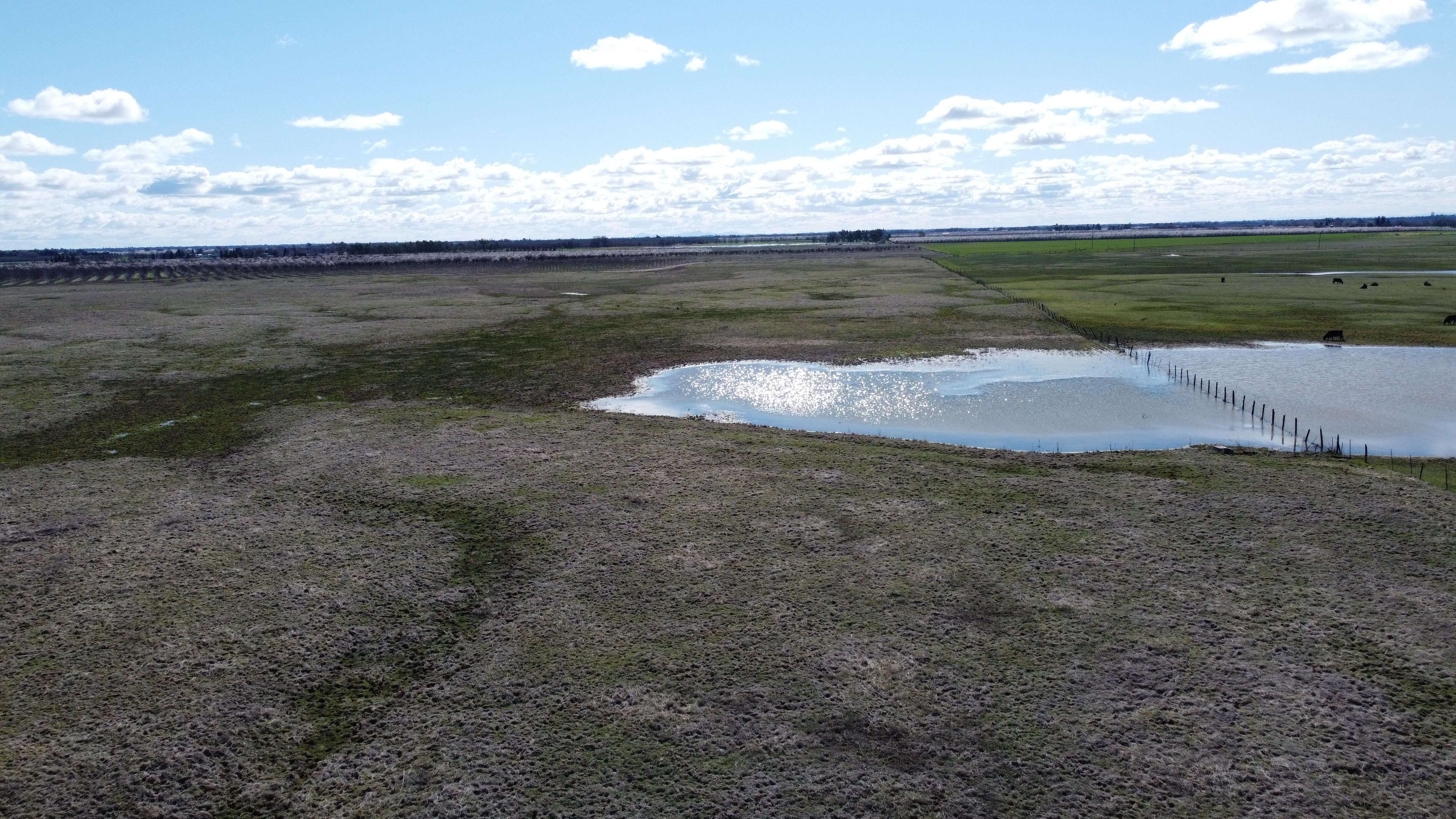 80 acres in Butte County, California