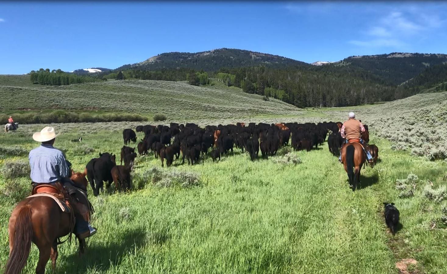 82 acres in Caribou County, Idaho