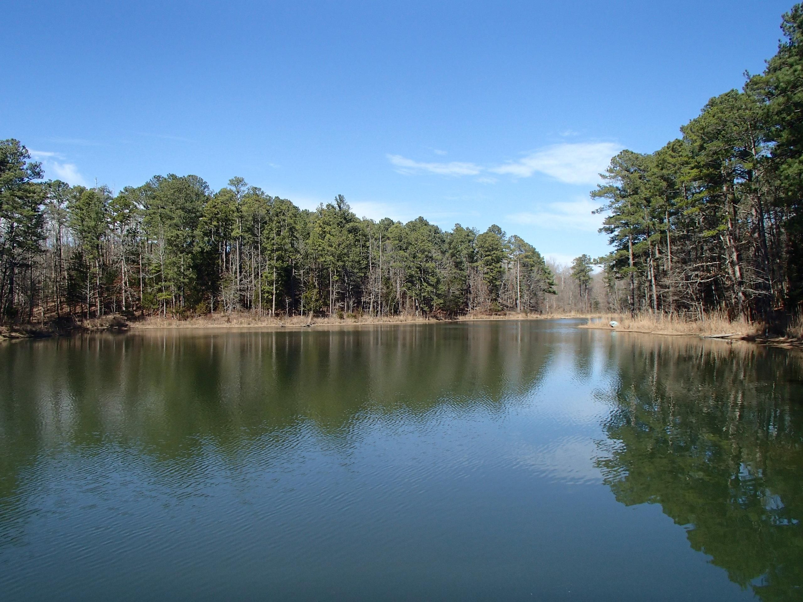 244.22 acres in Oktibbeha County, Mississippi