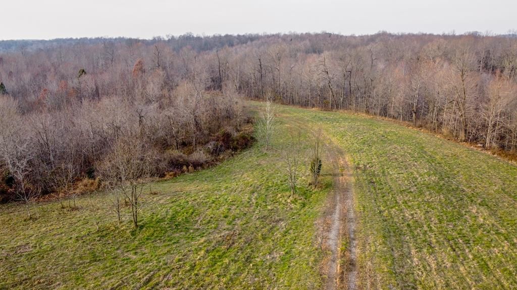 41 acres in Hancock County, Kentucky