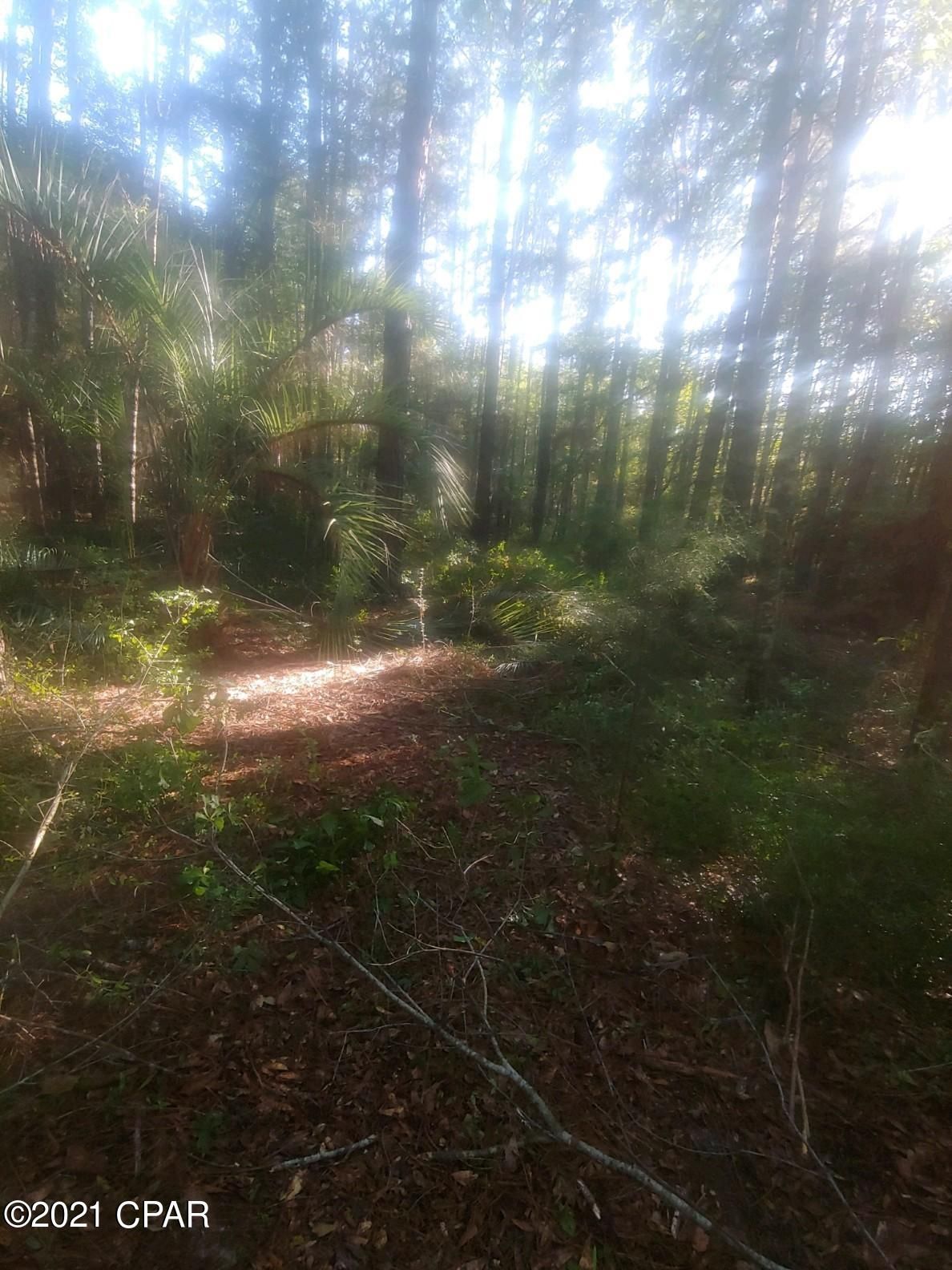 3 acres in Holmes County, Florida