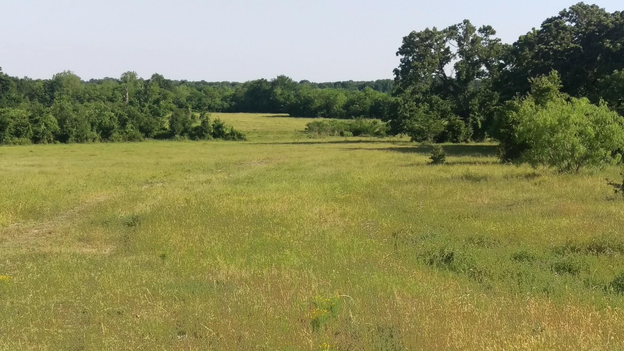 282.91 acres in Grimes County, Texas