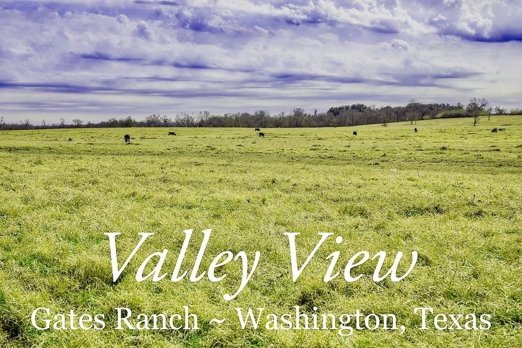 79 acres in Washington County, Texas