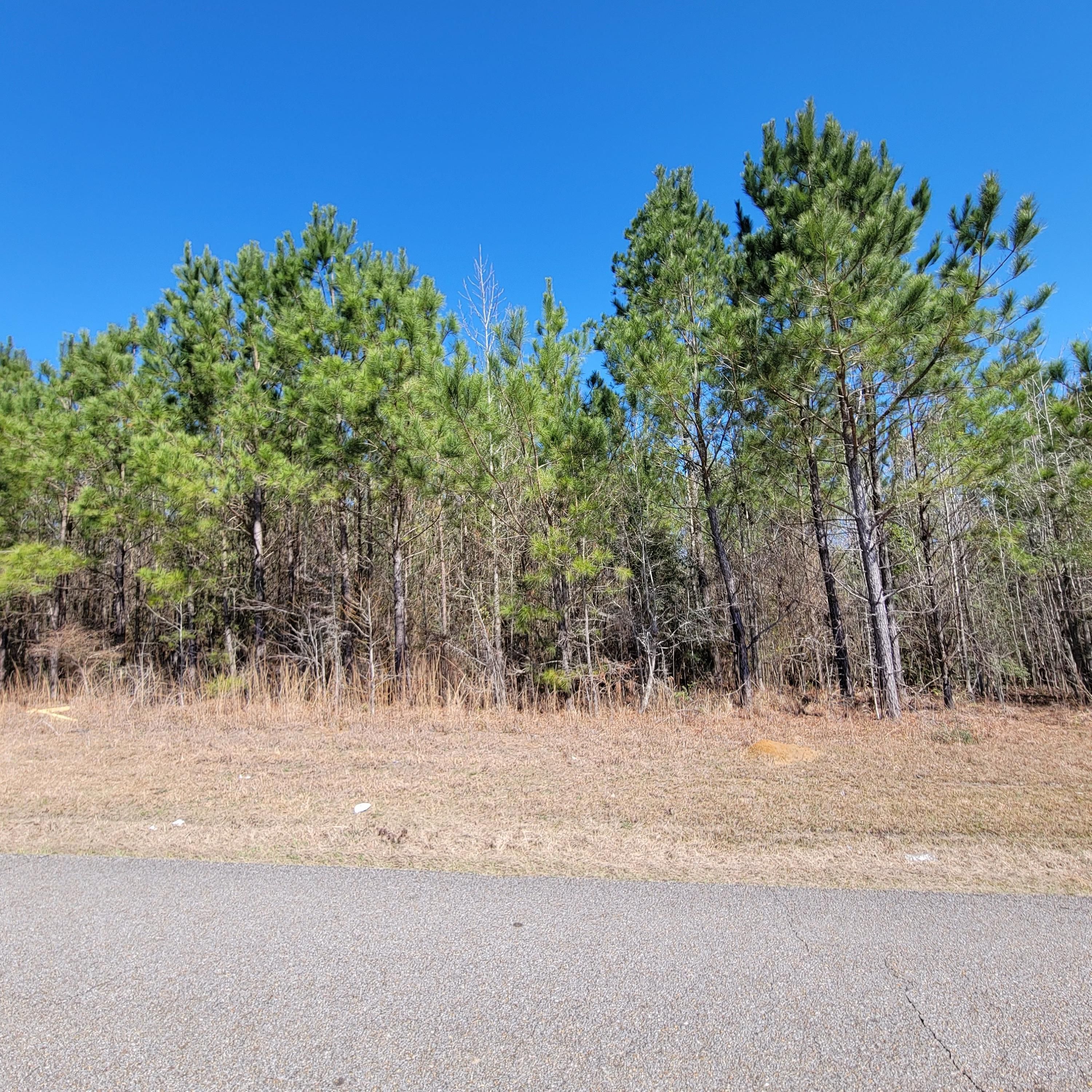 4.86 acres in Perry County, Mississippi
