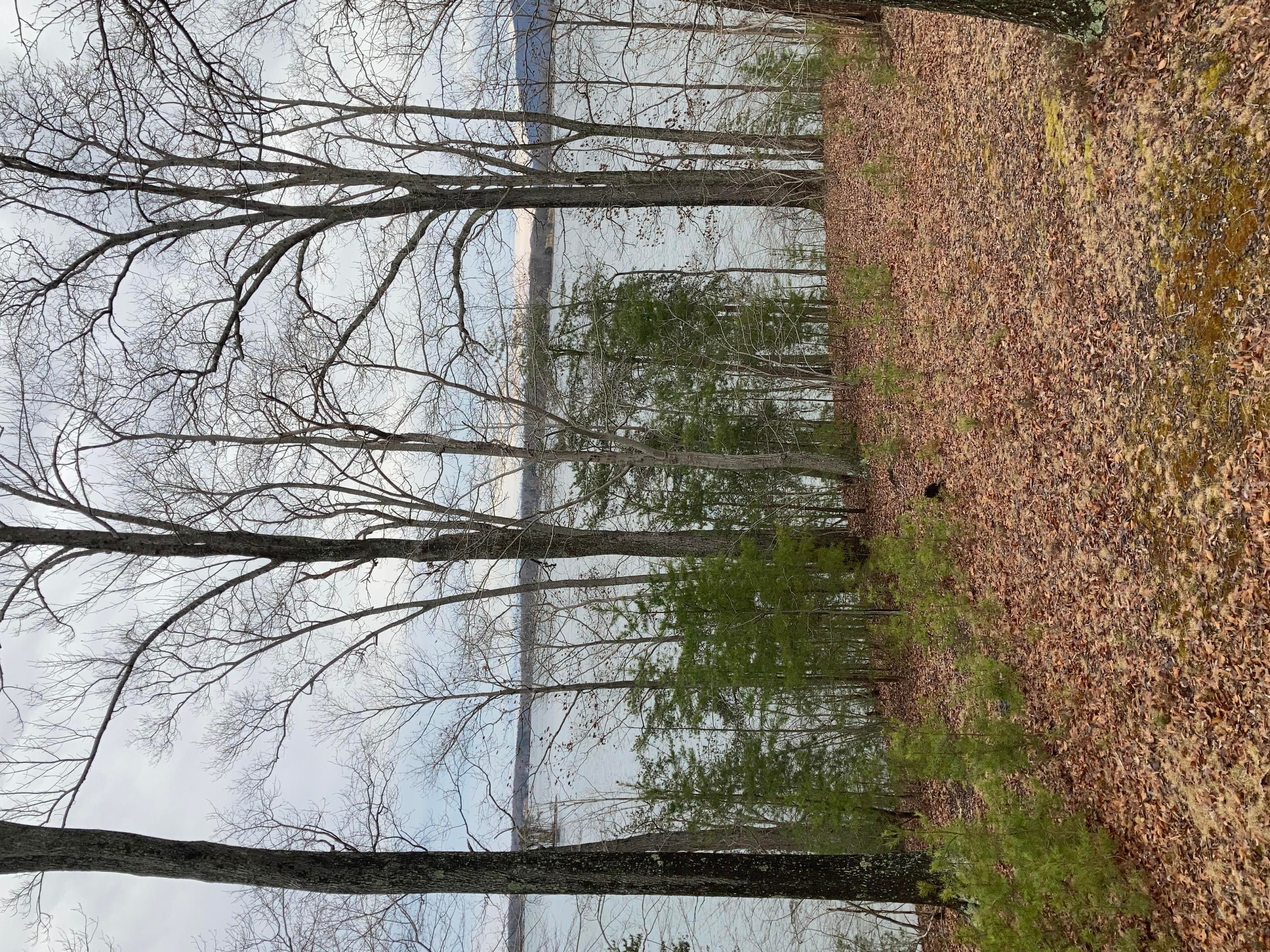 5.63 acres in Franklin County, Virginia
