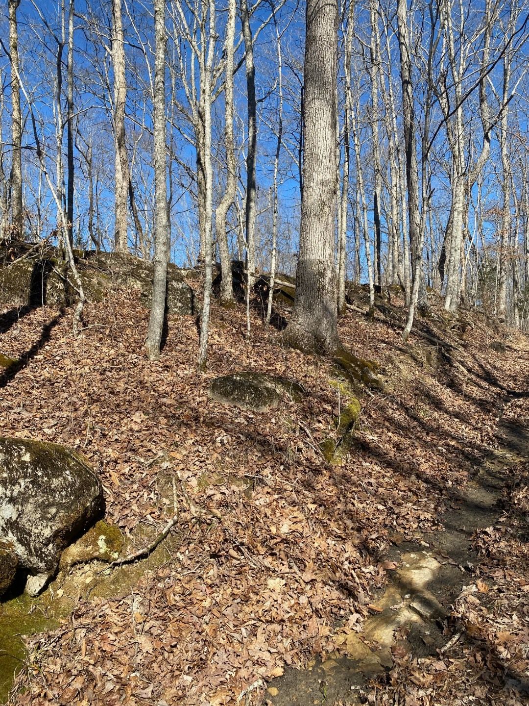 70 acres in Cumberland County, Kentucky