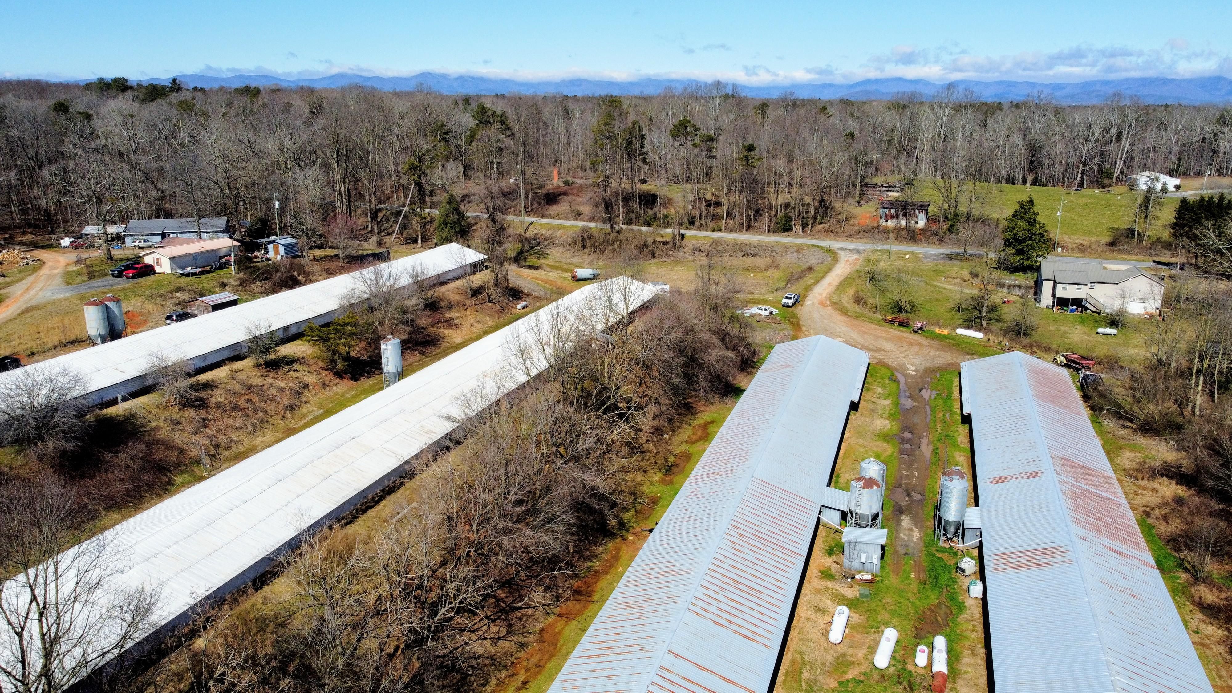 8.2 acres in Lumpkin County,