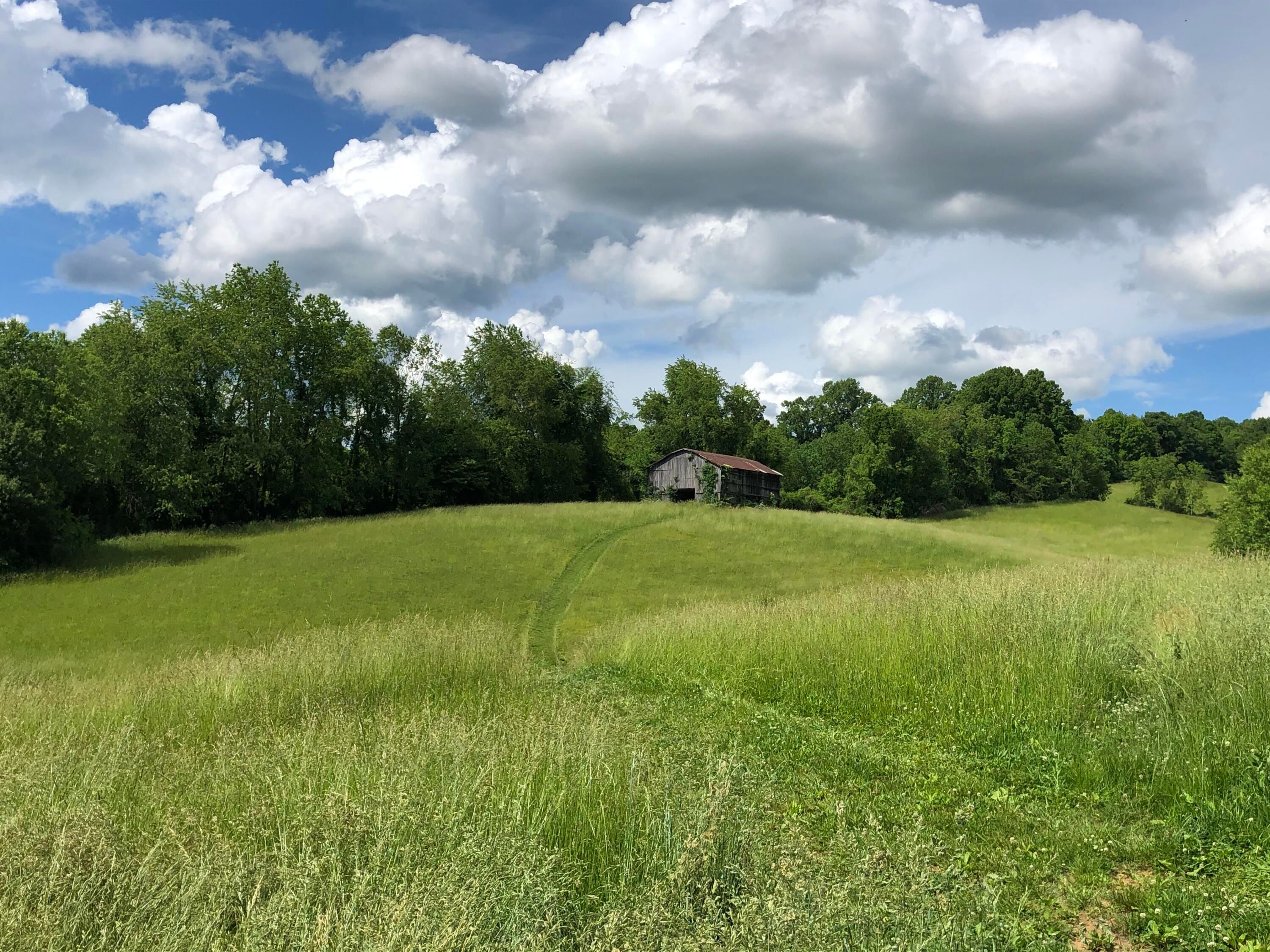 40 acres in Washington County, Virginia