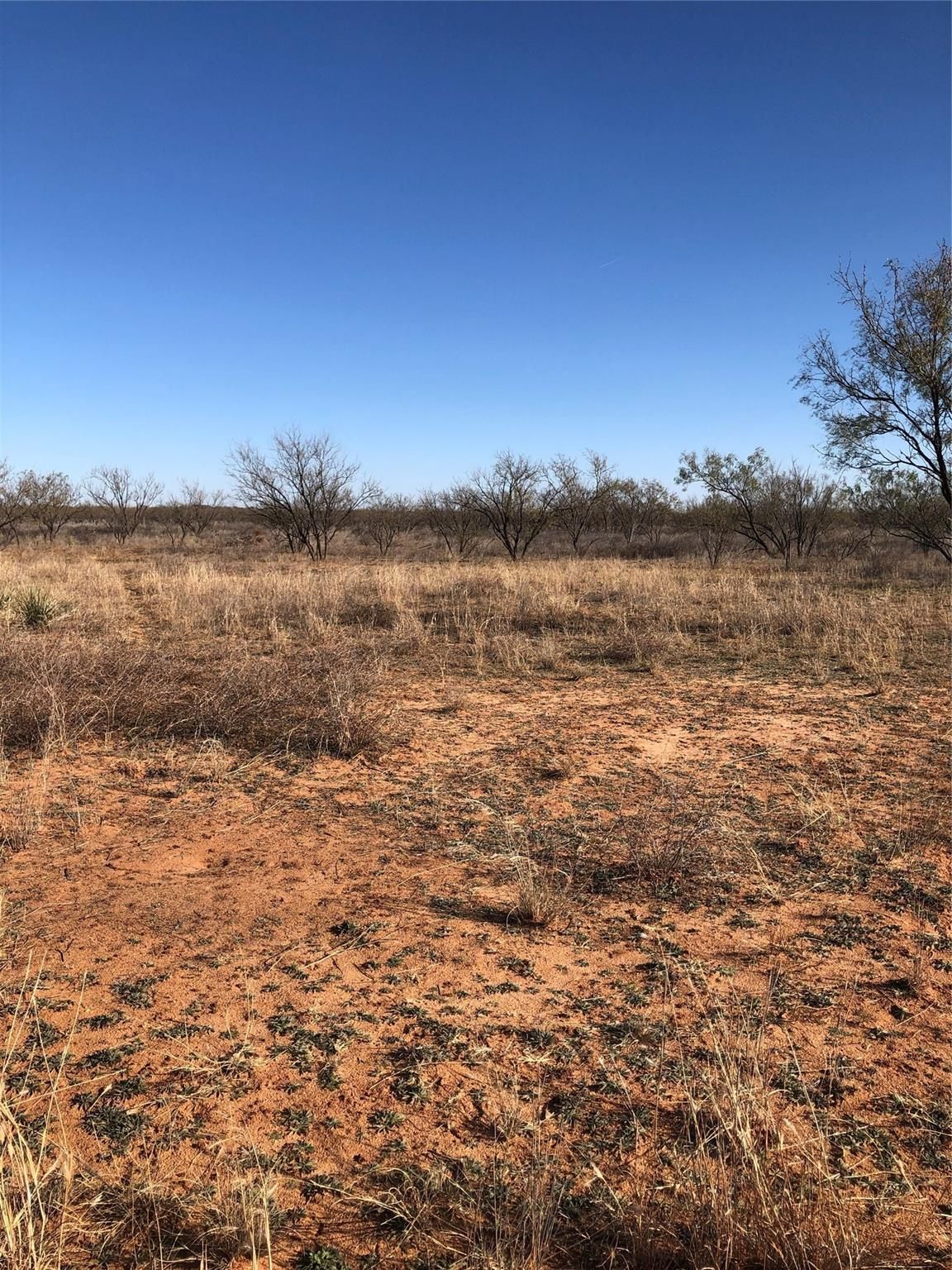 15.37 acres in Mitchell County, Texas