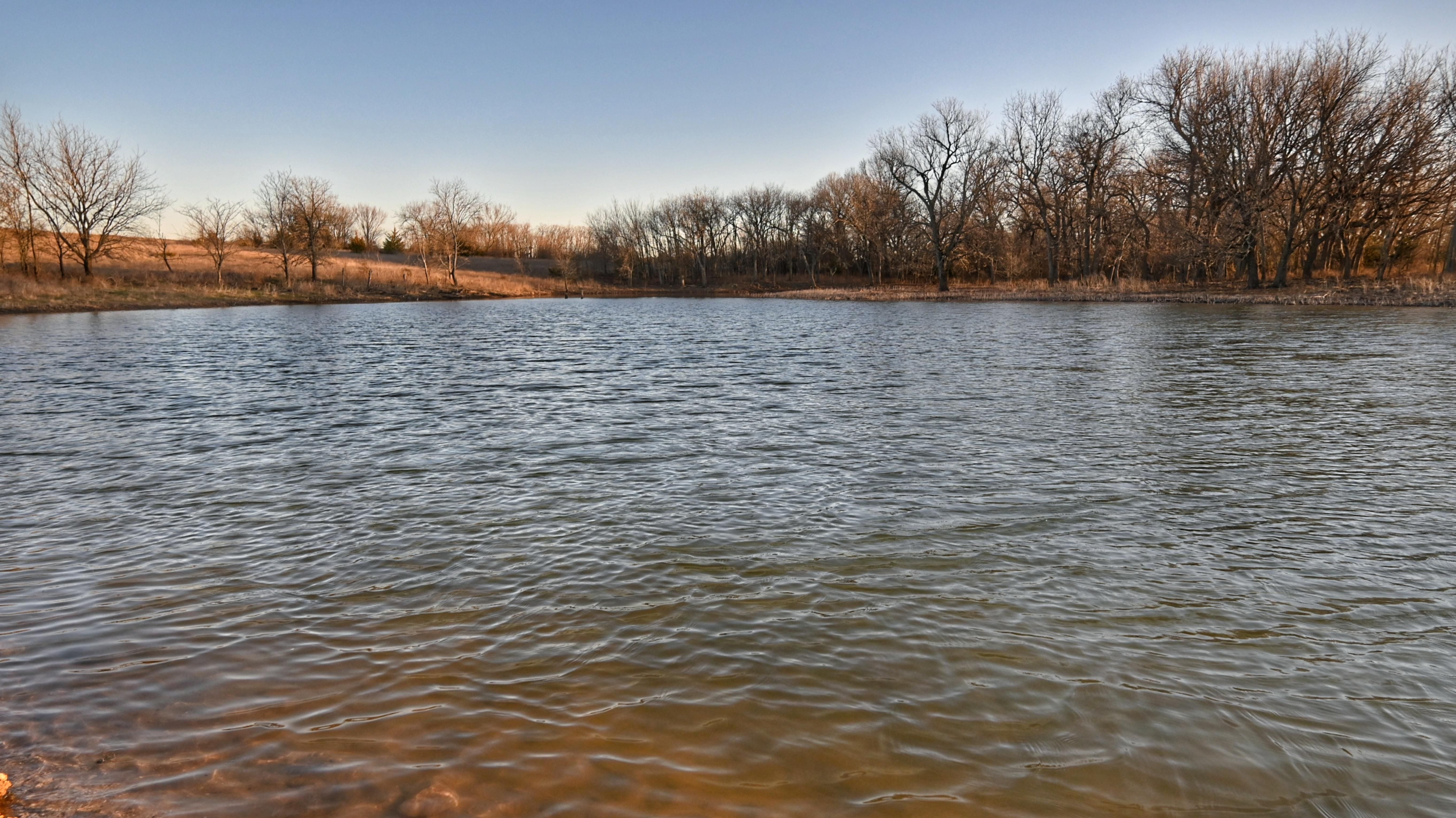 462 acres in Saint Jo, TX, 76265 MLS 14528697