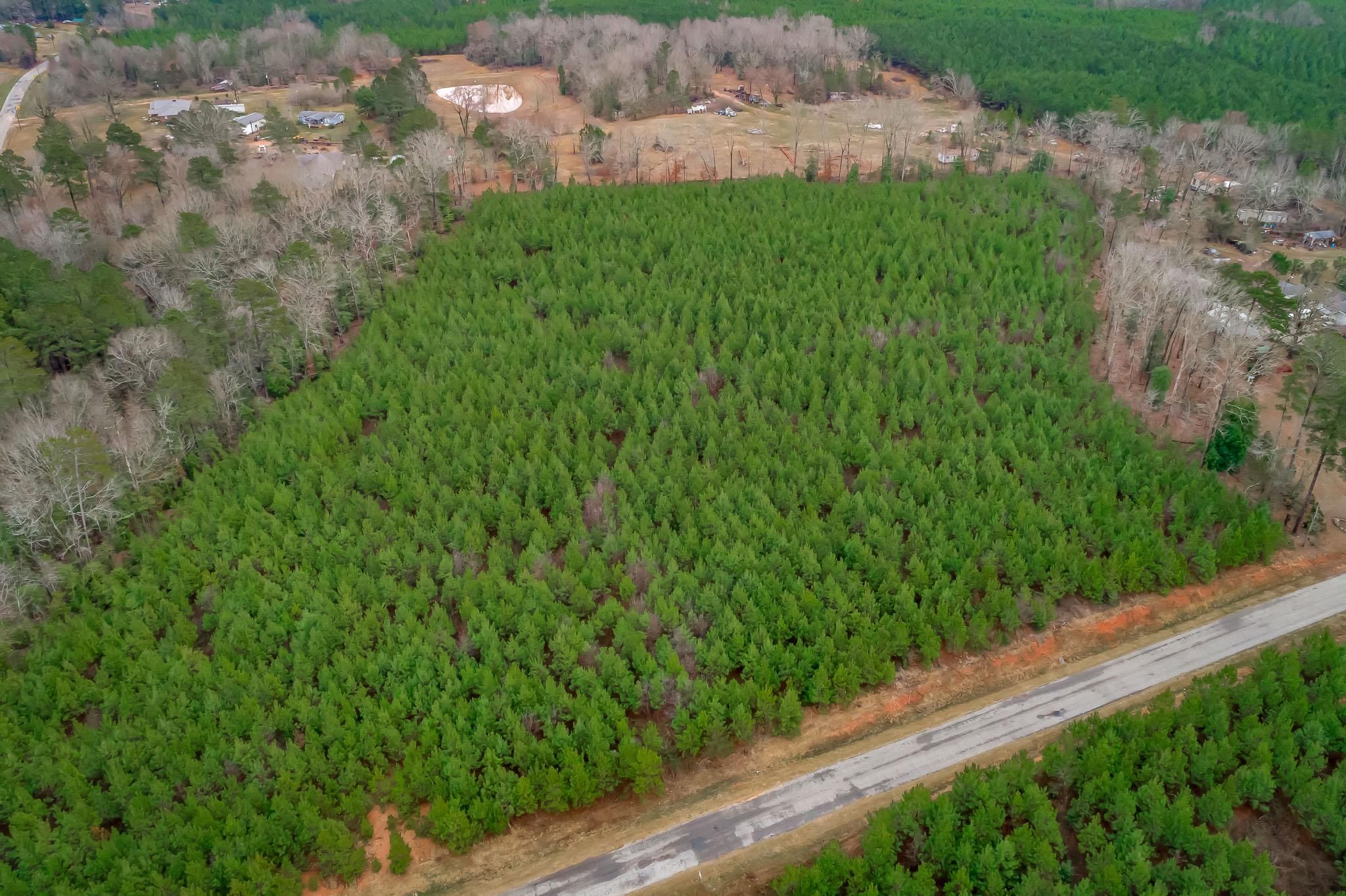 40.3 acres in Saluda, SC, 29138