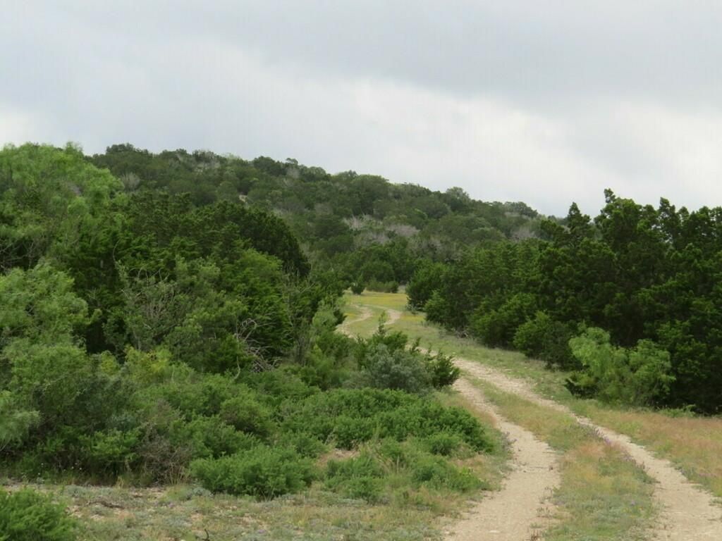 81.48 acres in Rocksprings, TX, 78880