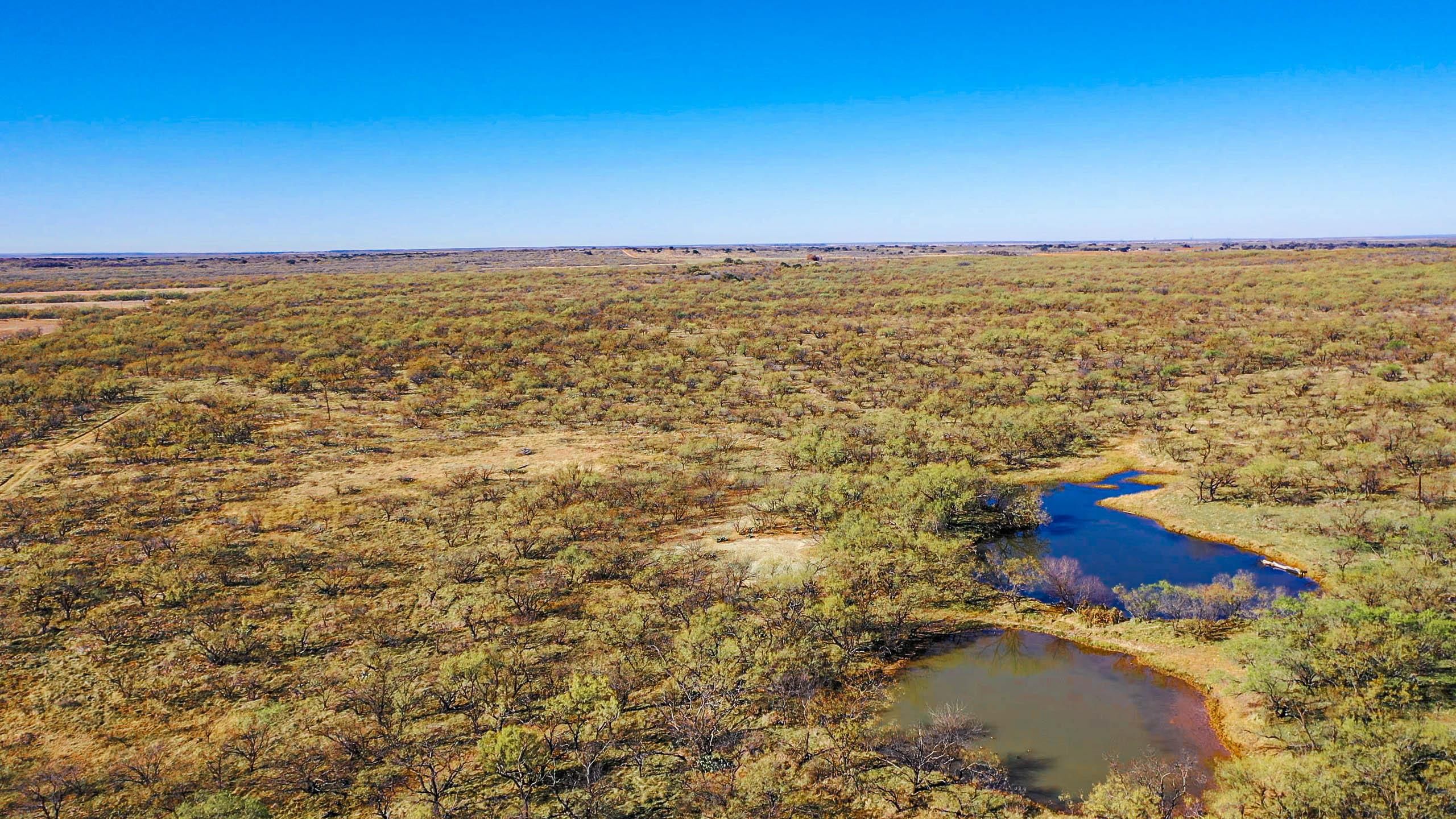 140 acres in Young County, Texas