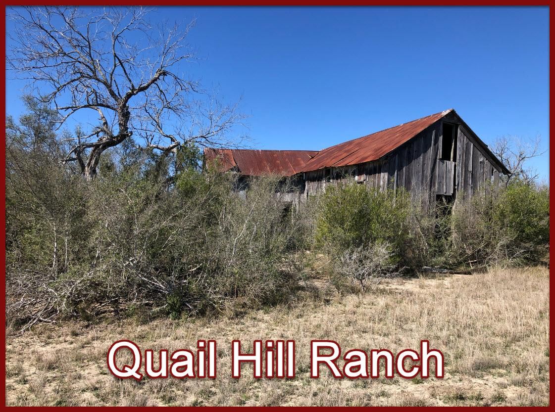 303.97 acres in Live Oak County, Texas