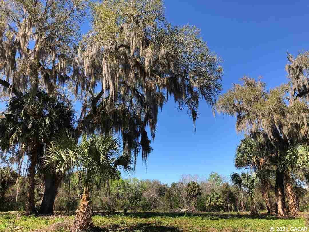 3 acres in Alachua County, Florida