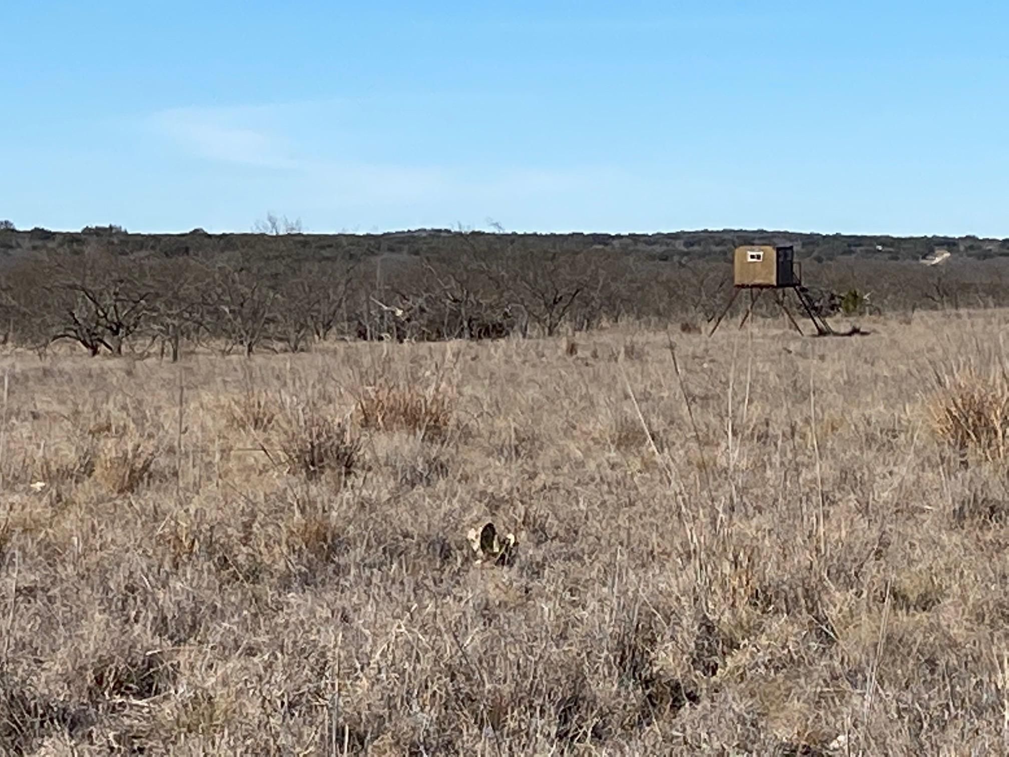 165 acres in Menard County, Texas