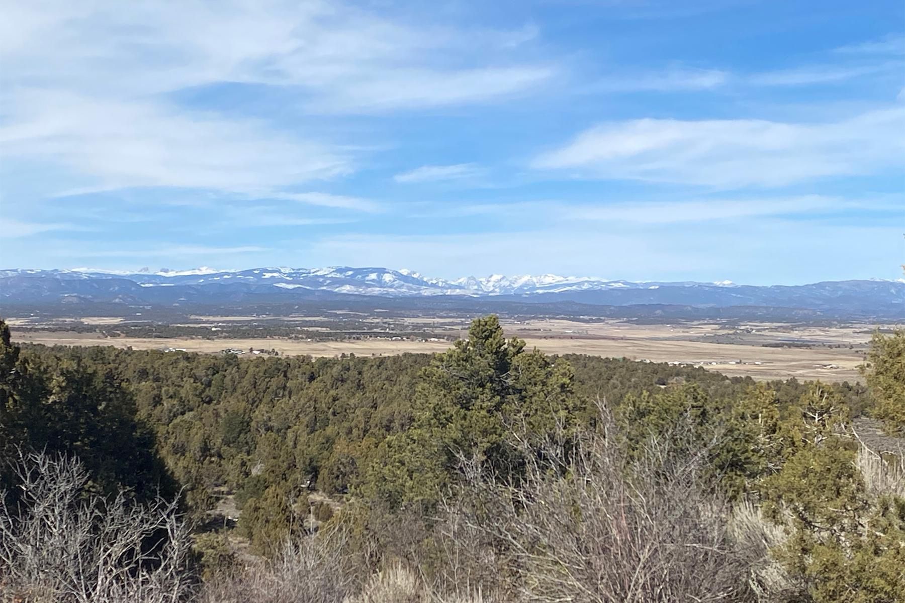 20 acres in La Plata County, Colorado