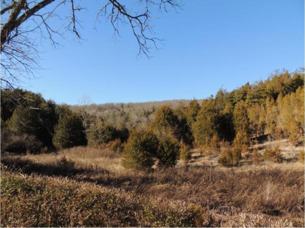 96.73 acres in Hawkins County, Tennessee