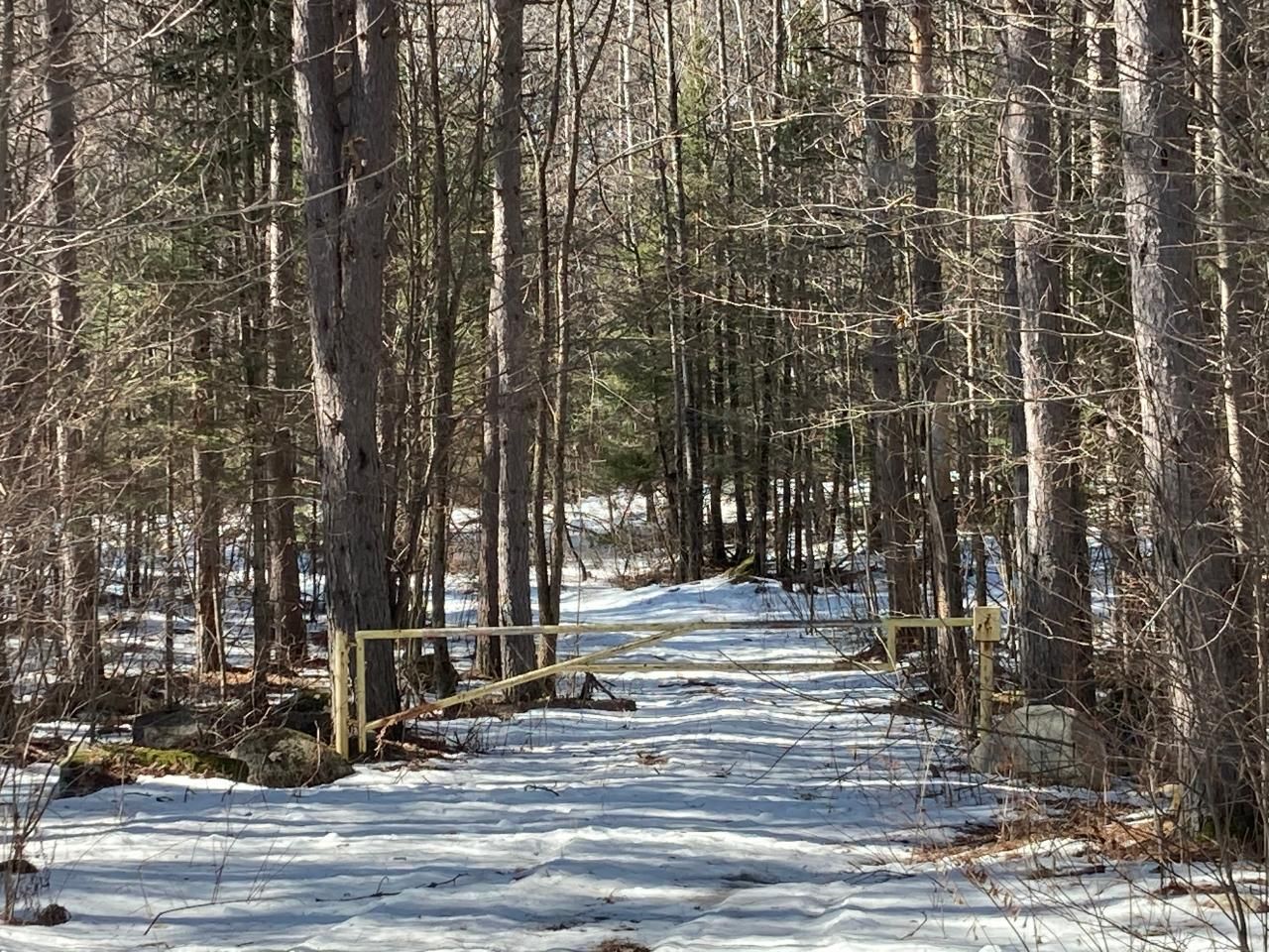 40 acres in Forest County, Wisconsin